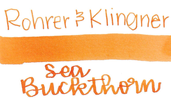 2025限定色 沙棗橘 鋼筆墨水｜德國 Rohrer & Klingner