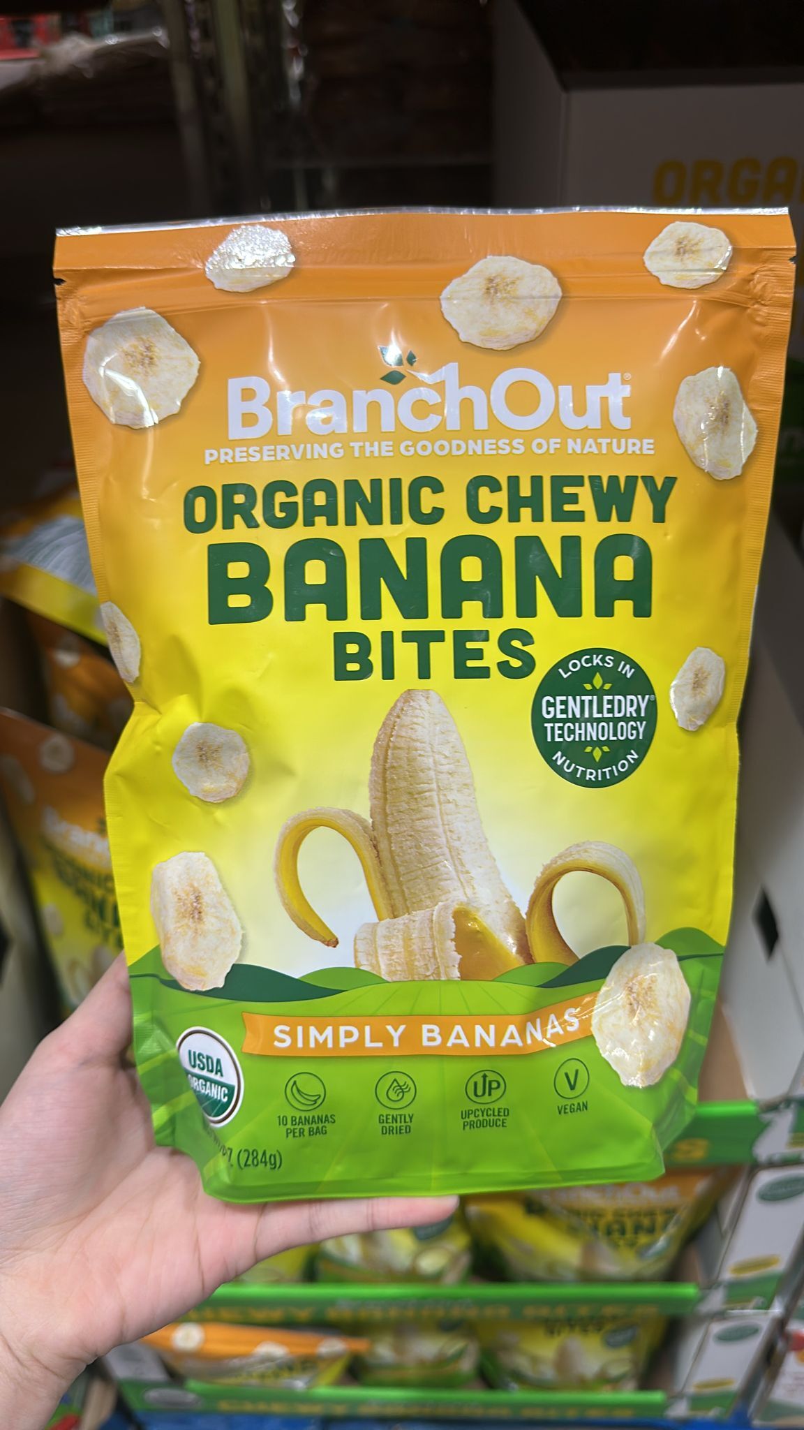 【預購】BranchOut H100770 有機香蕉乾