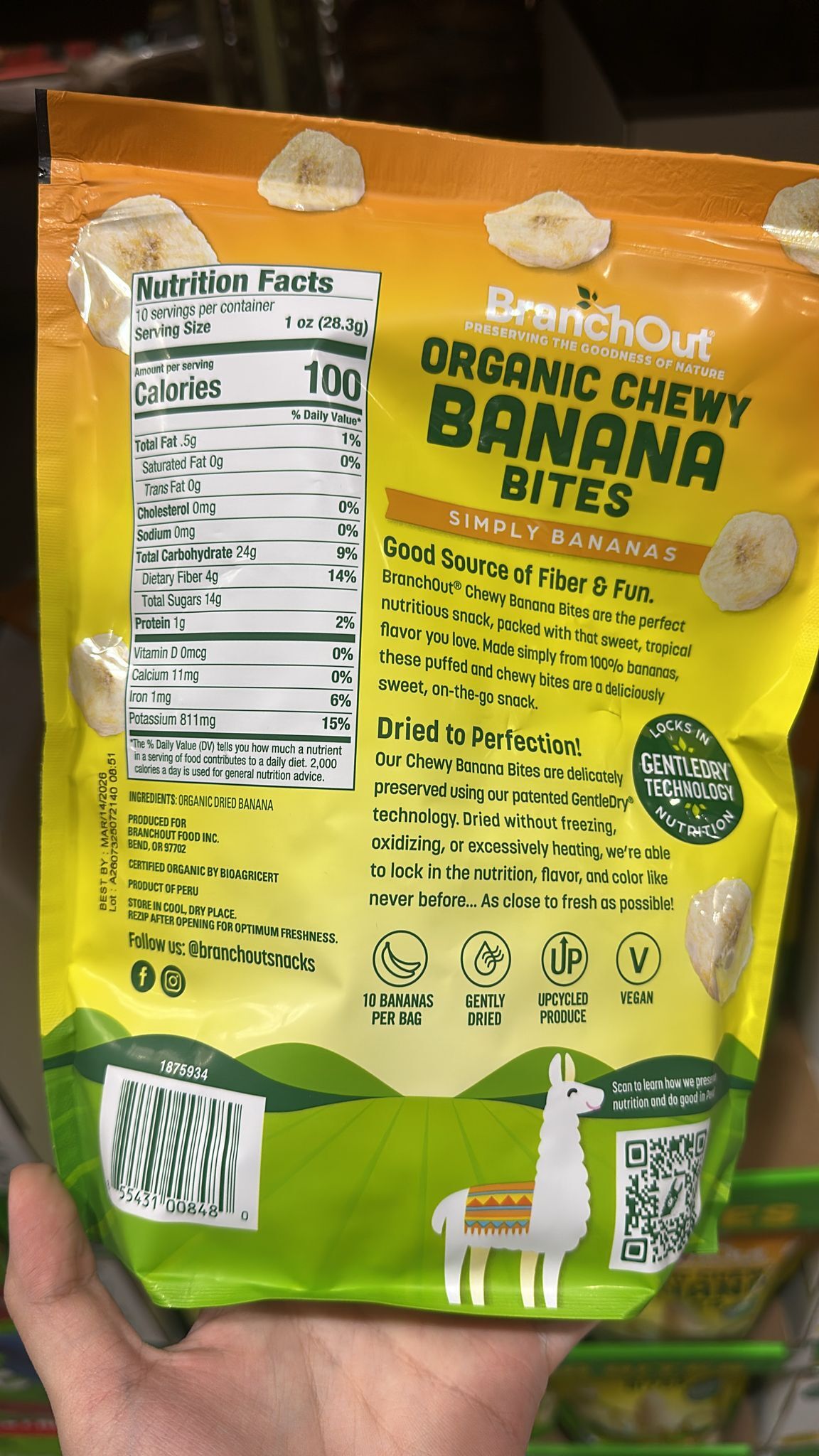 【預購】BranchOut H100770 有機香蕉乾