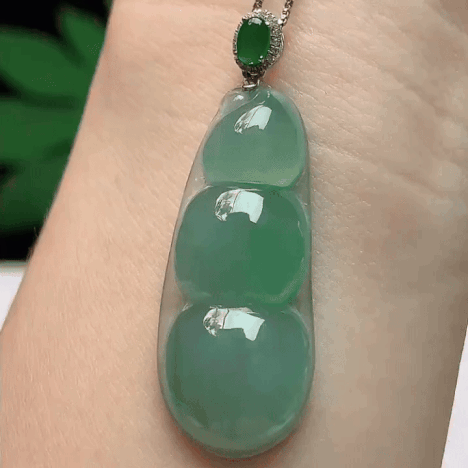 924353 翡翠飄花福豆