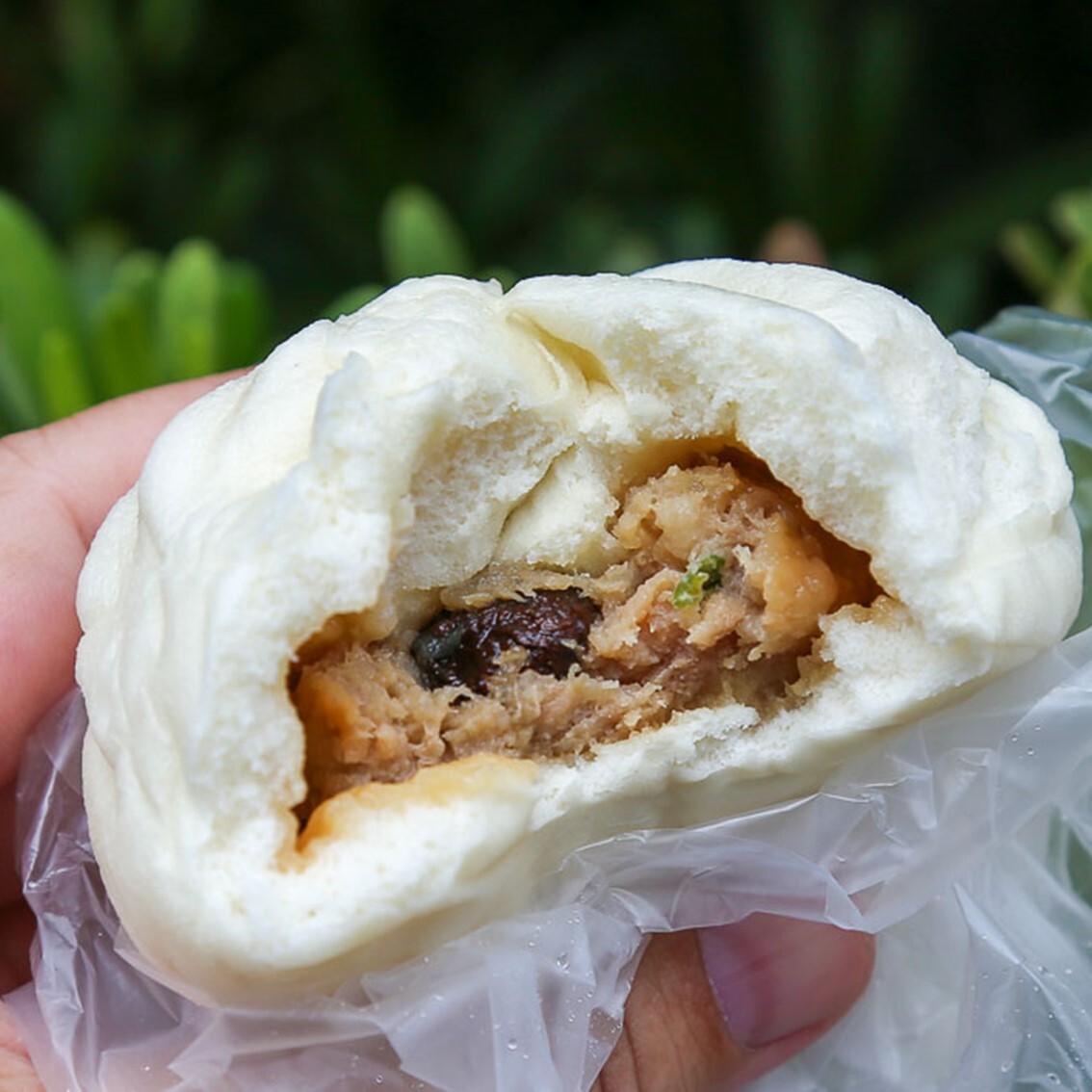 (團購)老龍師肉包(11/04到貨)