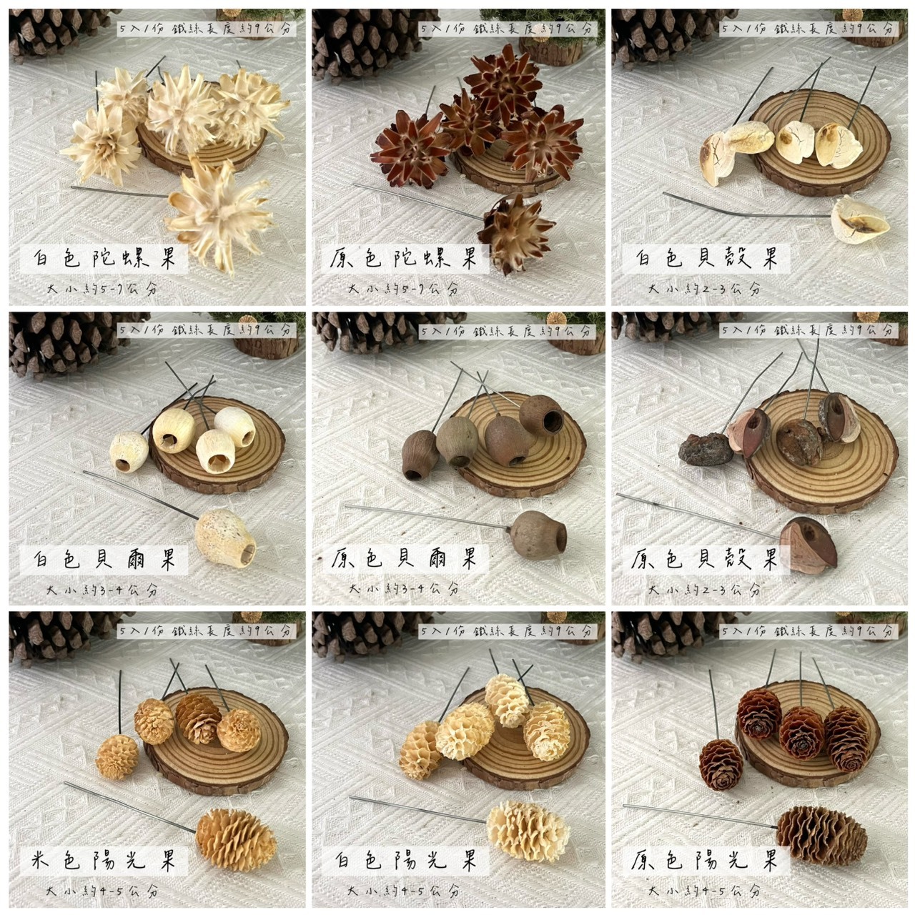 南非乾燥果實系列(小份)