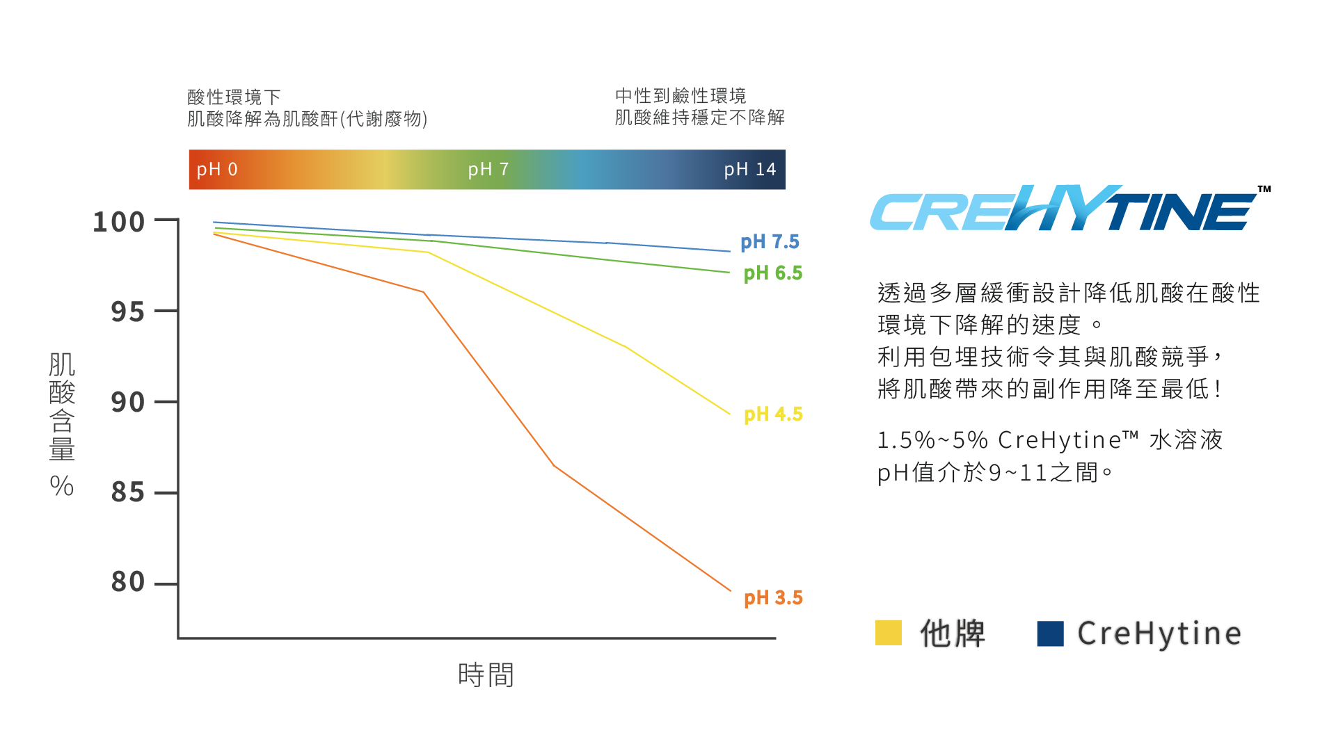 NUTIER的肌酸吸收率是市面上最好的關鍵圖表