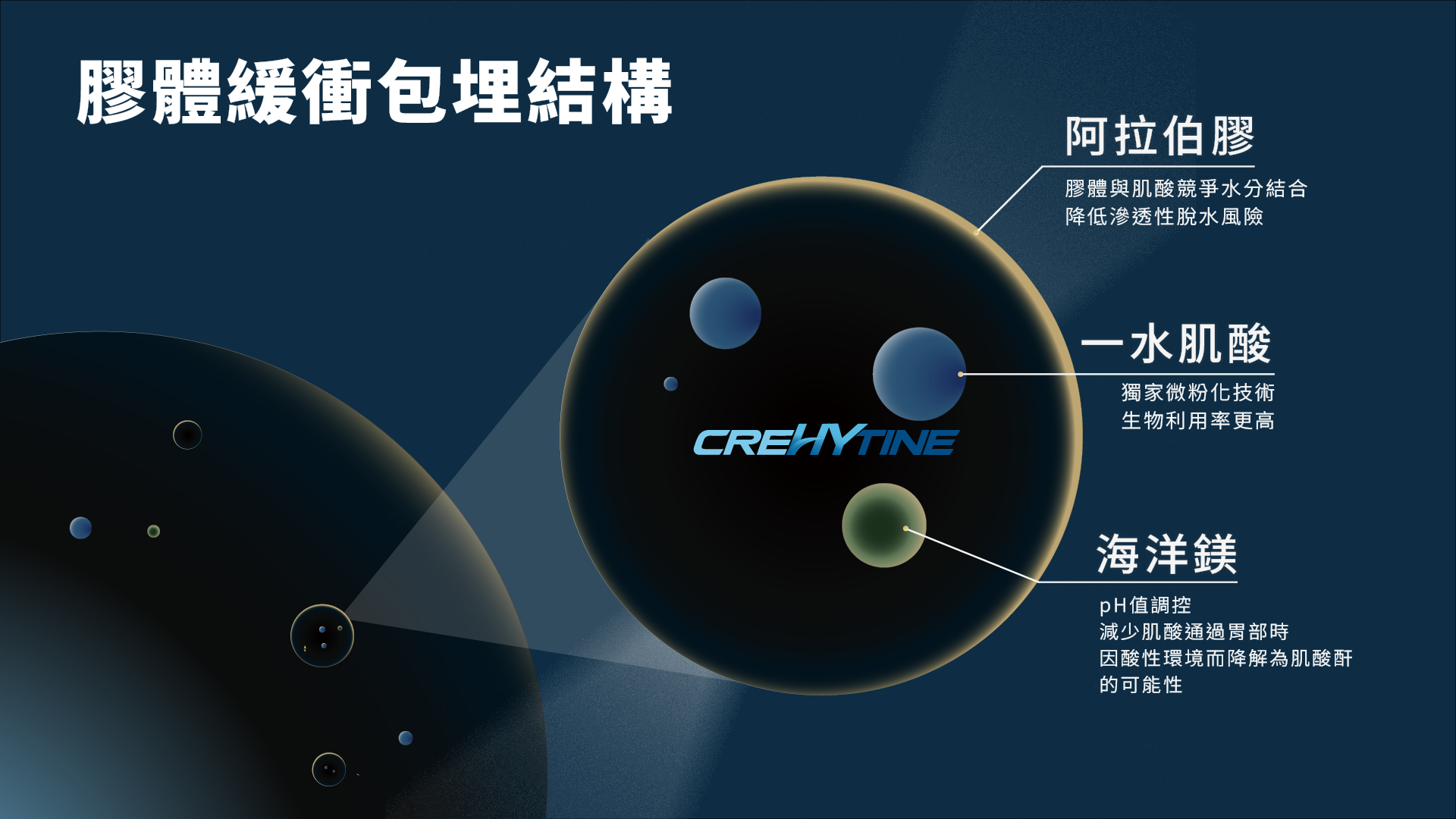 Crthytine 膠體緩衝包埋結構.png