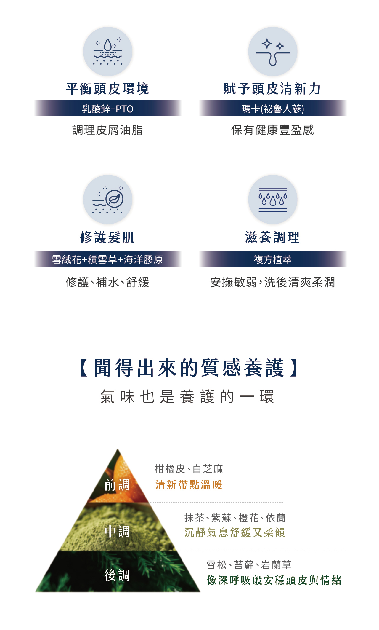 外泌體洗髮精,平衡頭皮環境,修護氧化,滋養調理,養護,頭皮養護,髮根調理,清爽,頭皮洗髮精