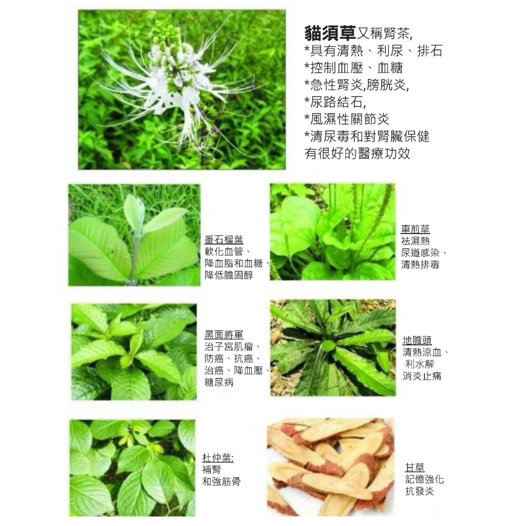 [M02] 貓鬚茶 Misai Kucing Tea 60包裝