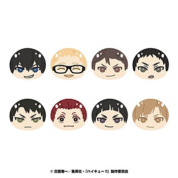 「ACG.GO」「預購」Ensky 排球少年!! 壓力球公仔3 B款 SET