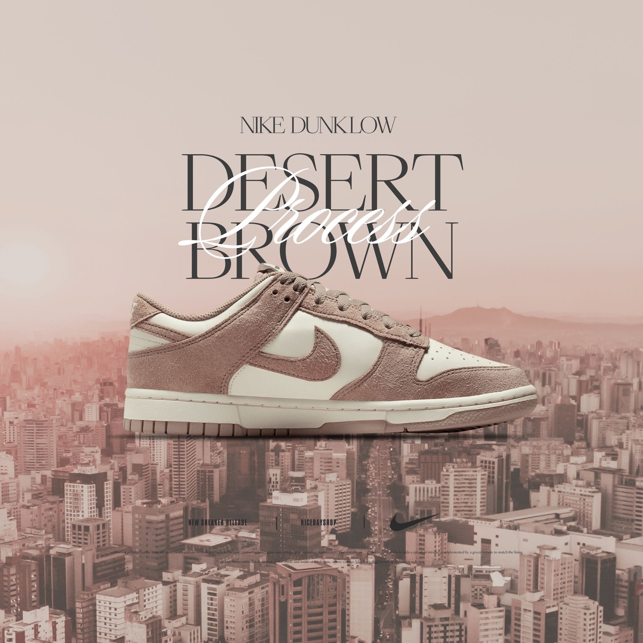 NICEDAY 現貨 Nike Wmns Dunk Low 棕色 可可 阿華田 拿鐵 女鞋 IB4417-105