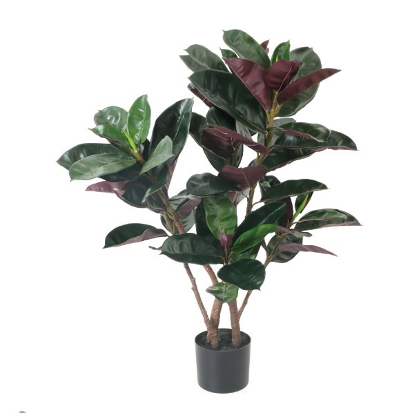 擬真樹 黑金橡膠樹 100cm