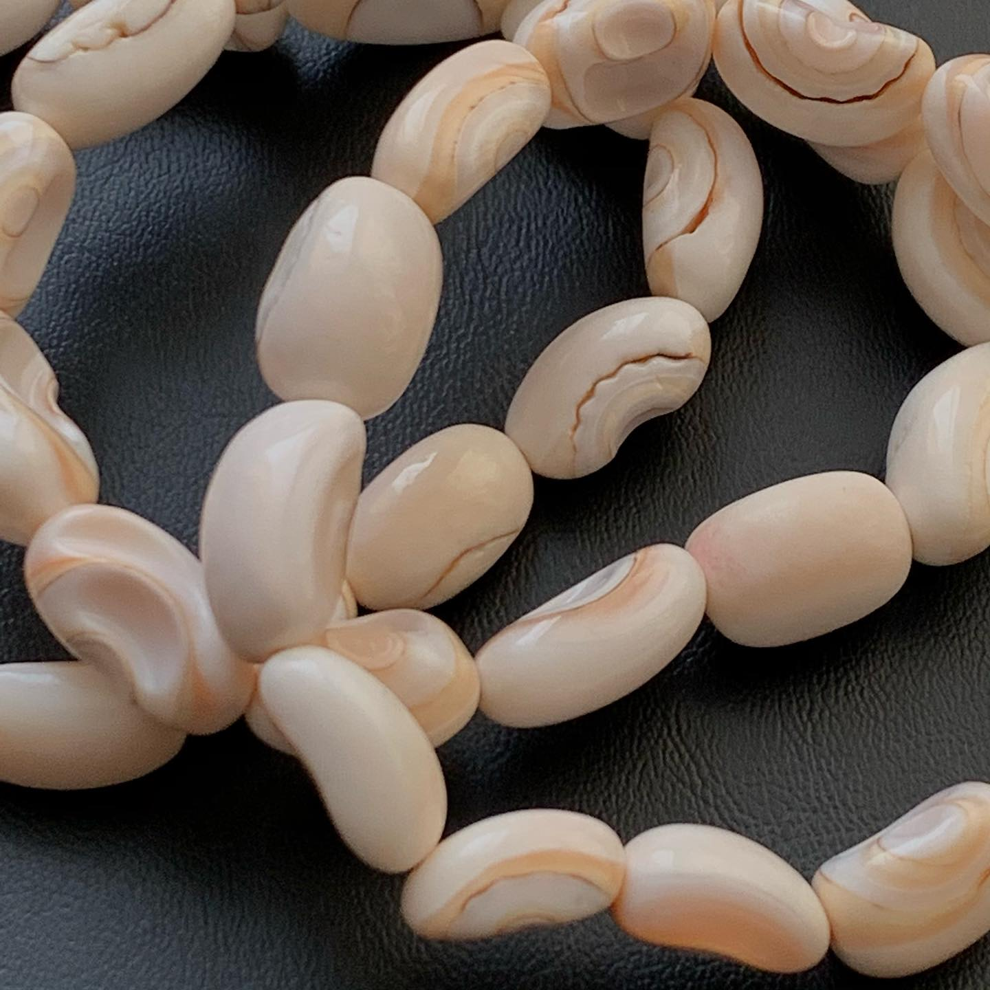 [原石] 女王貝 手串