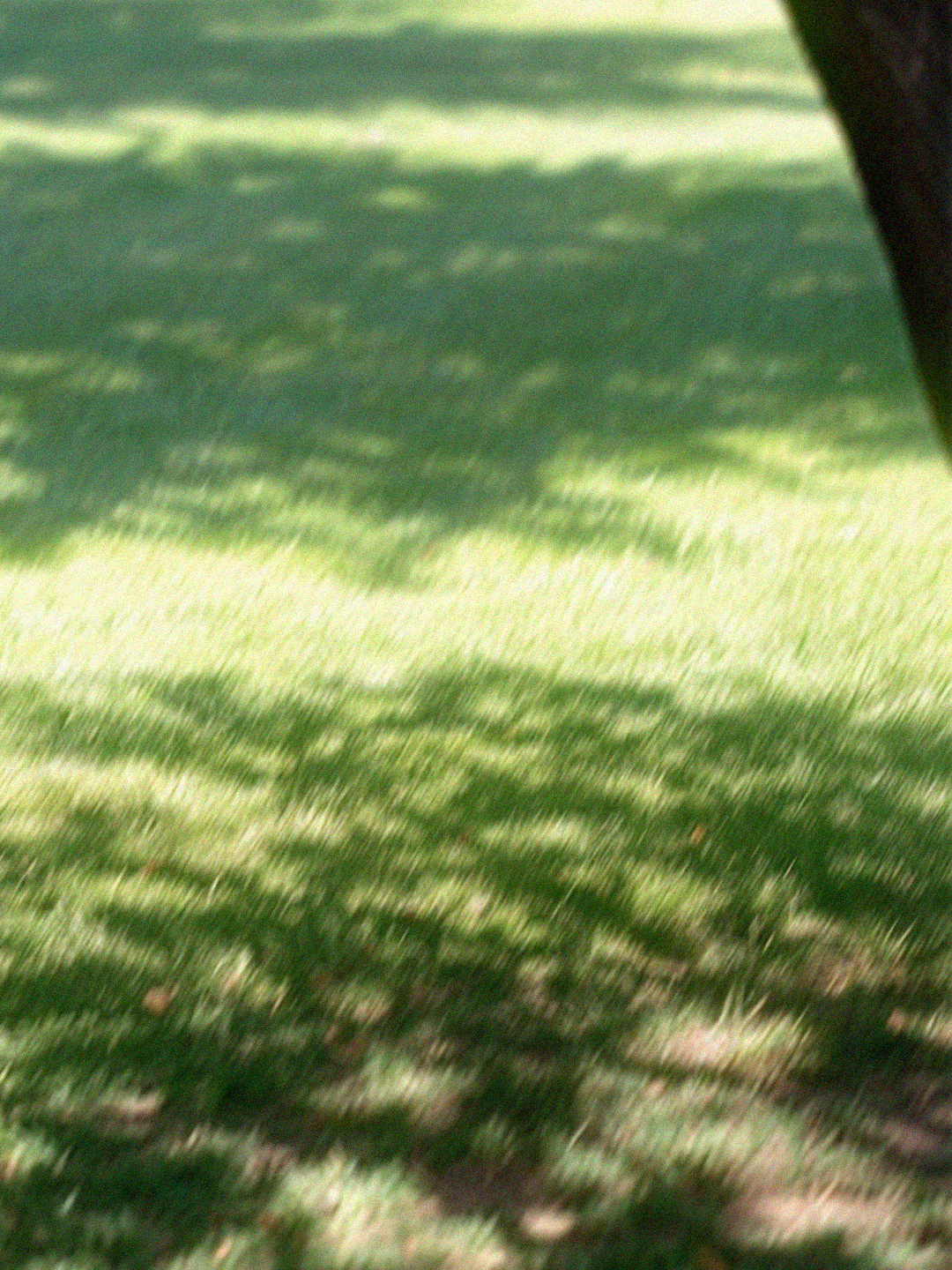 枕頭織品噴霧＿樹下小憩 50ml