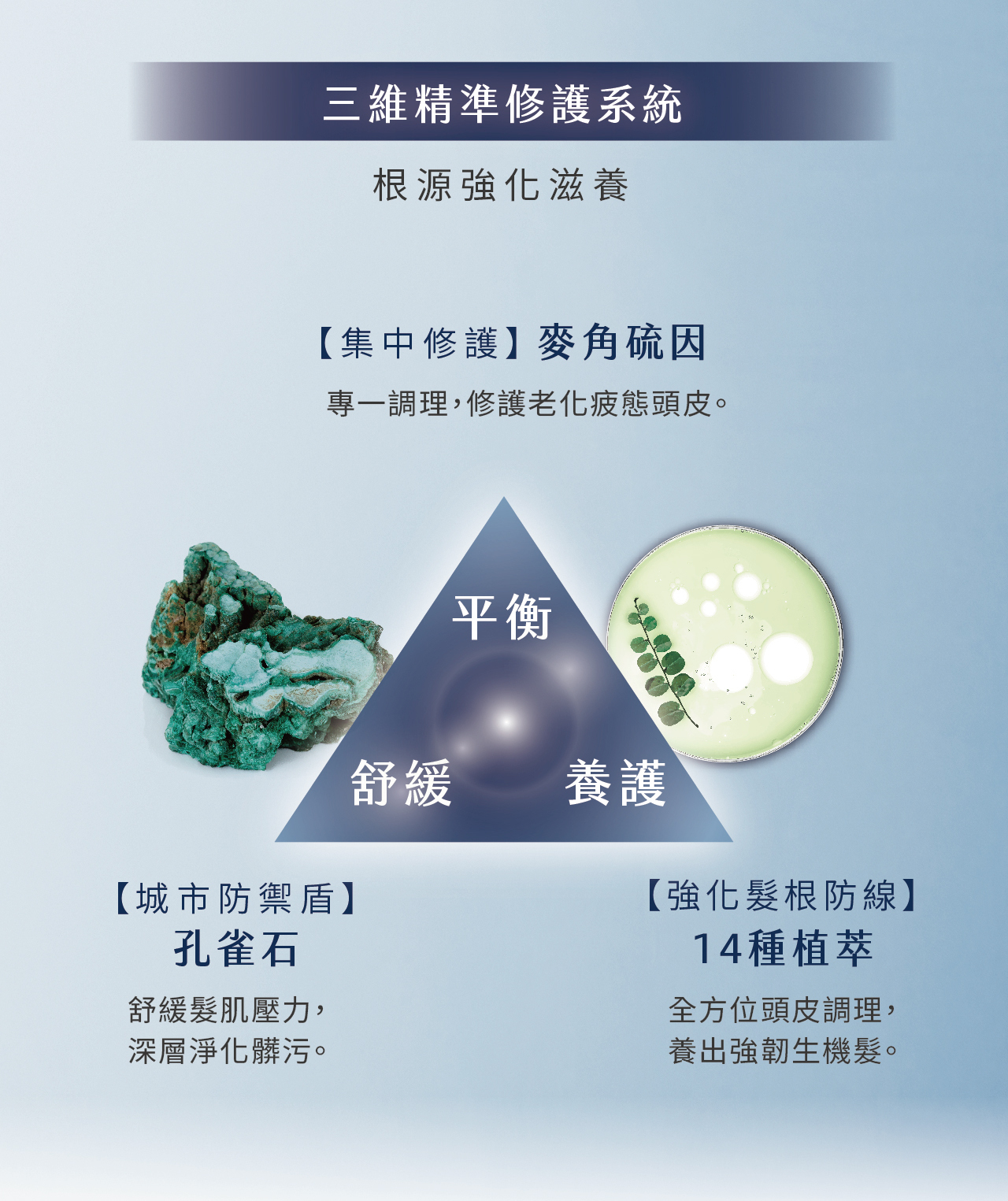 集中修護,麥角硫因,專一調理,修護老化頭皮,孔雀石,舒緩髮肌,深層淨化髒污,強化髮根防線,14種植翠,植物萃取,全方位頭皮調理,養出強韌生機髮,外泌體