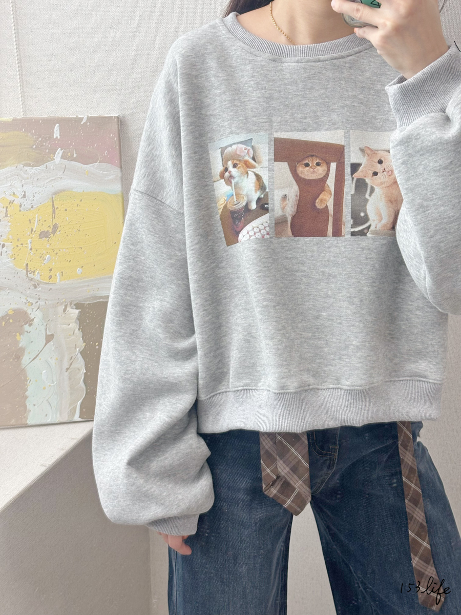 |現貨|三宮格呆萌貓咪短大學T(3色)