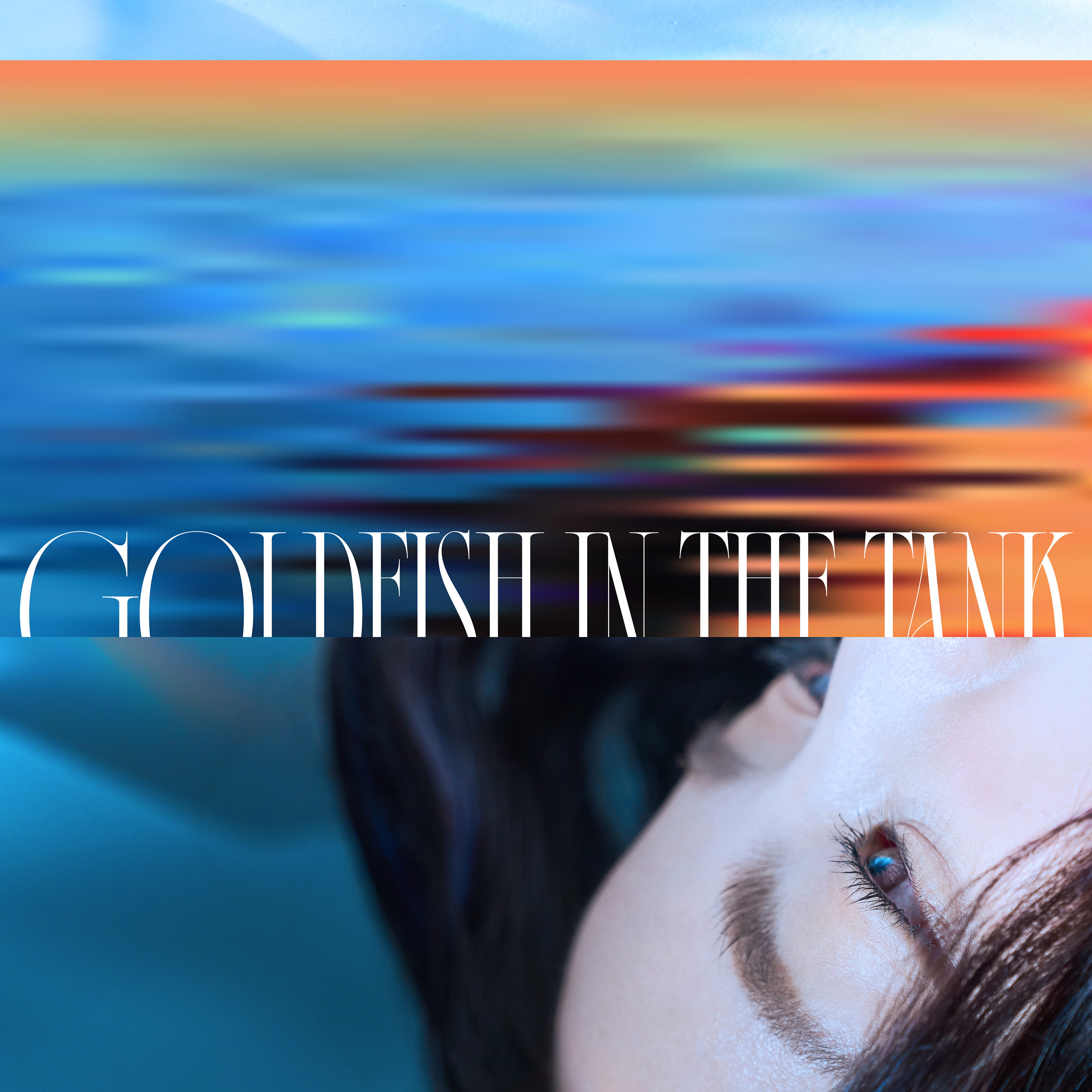 【aDAN薛詒丹】《孤獨金魚圖鑑 Goldfish in the Tank》