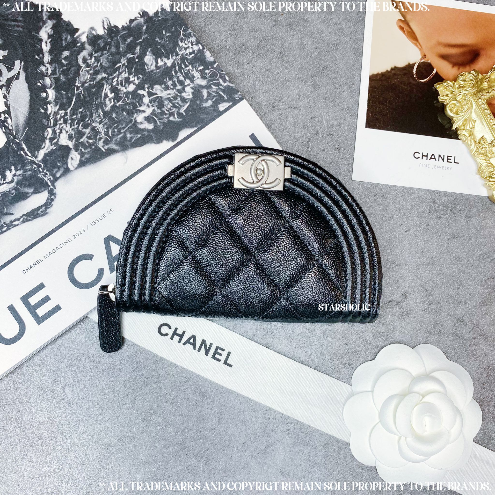 CHANEL Leboy Coins Bag