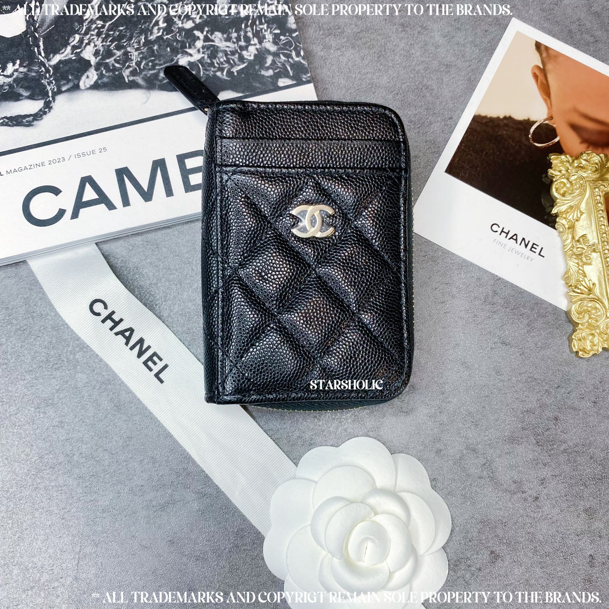 CHANEL Seasonal Coins Bag