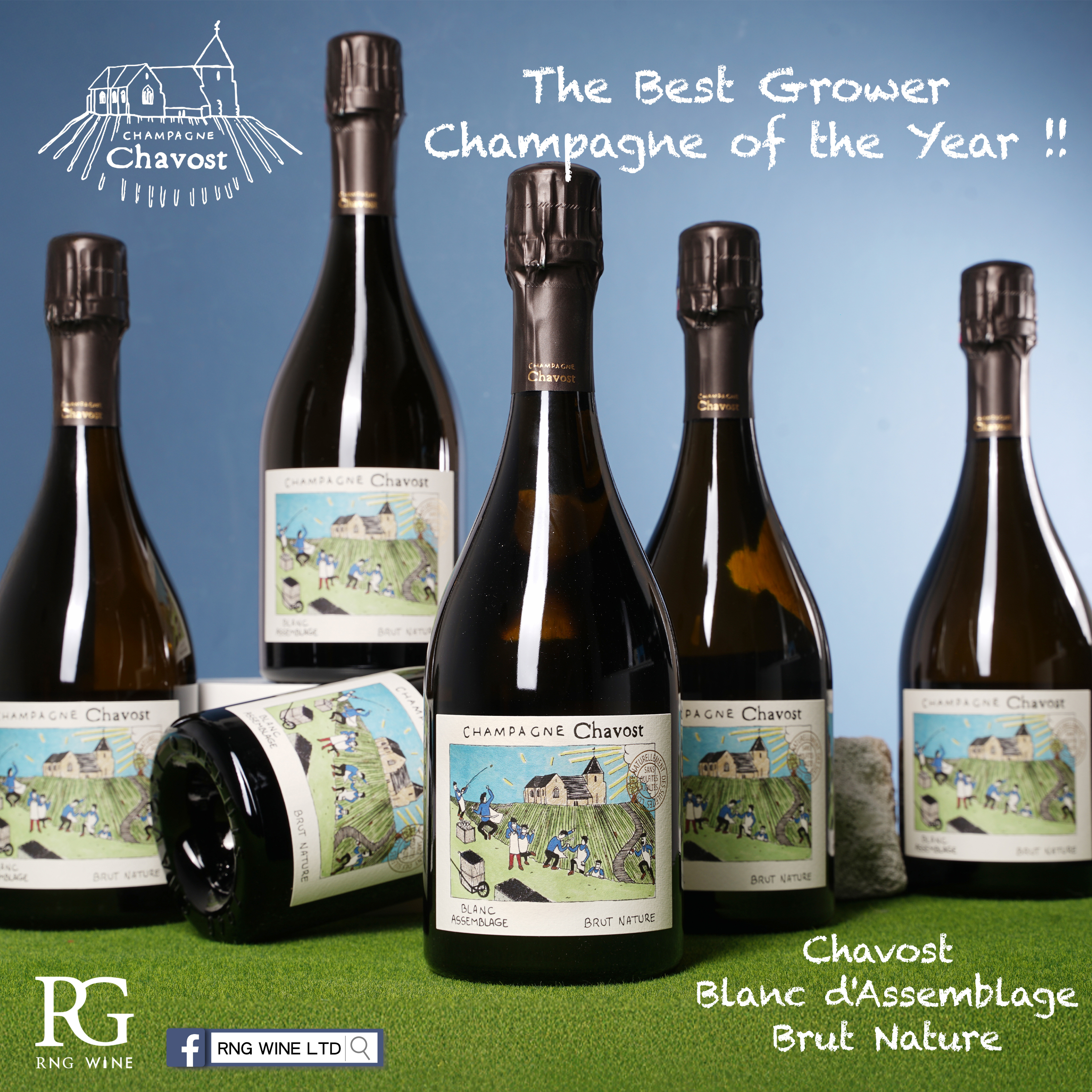 Chavost Blanc d'Assemblage Brut Nature - 6 Bottle Pack