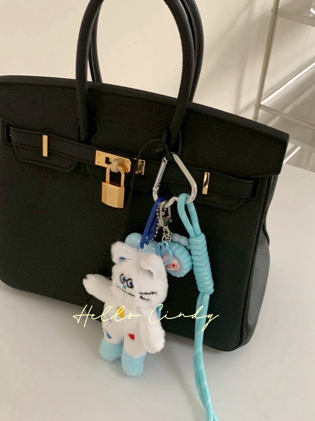 可可愛愛呆萌彩色貓咪