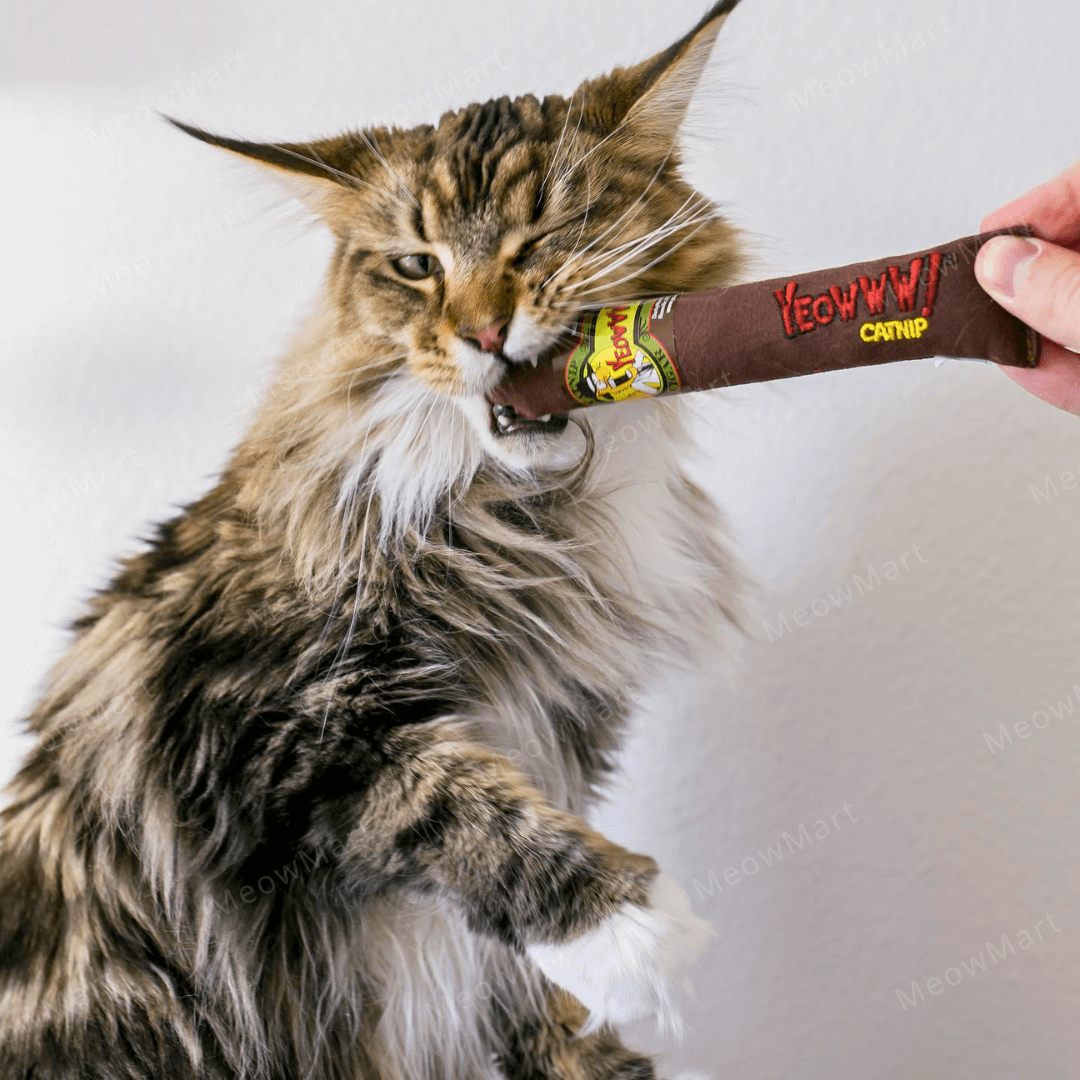 【現貨8折】Yeowww! 美國有機貓草雪茄 (3色任選)