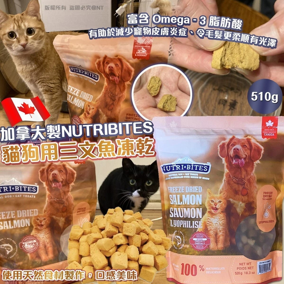 加拿大製NUTRIBITES貓狗用三文魚凍乾510g