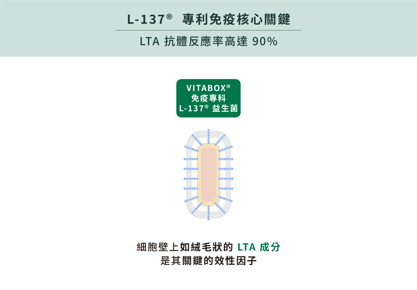 日本專利 LTA 關鍵成分，2-6 倍