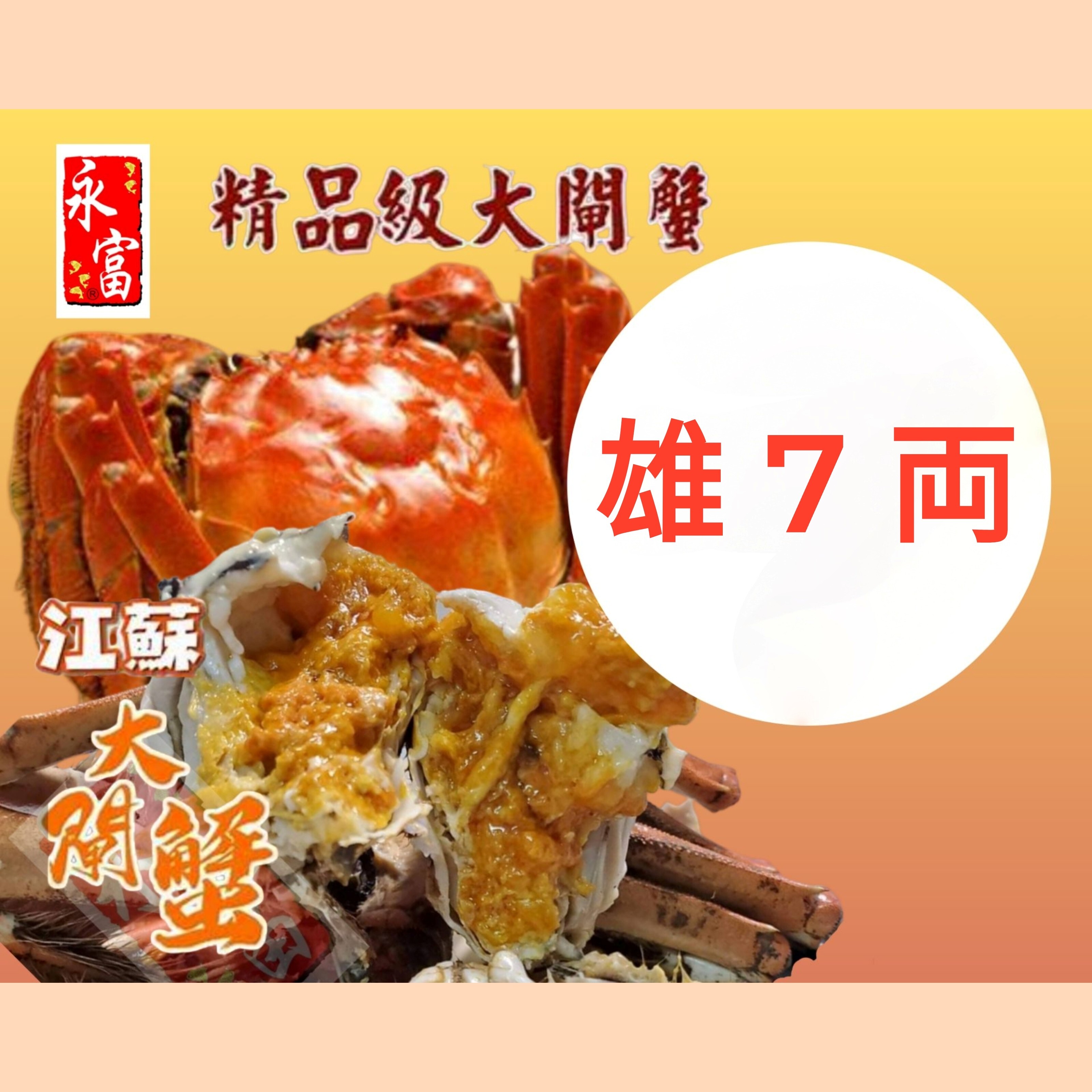 江蘇大閘蟹(雄約7兩/雌6.2-6.5兩)