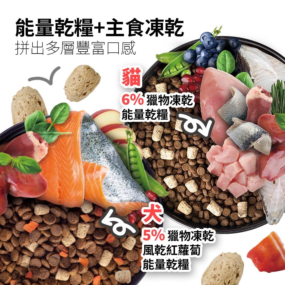 SOLUTION 耐吉斯｜P2 凍乾多拼鮭魚餐-全齡犬