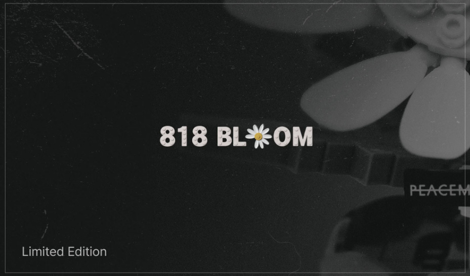 G-DRAGON PEACEMINUSONE & OXFORD 818 BLOOM