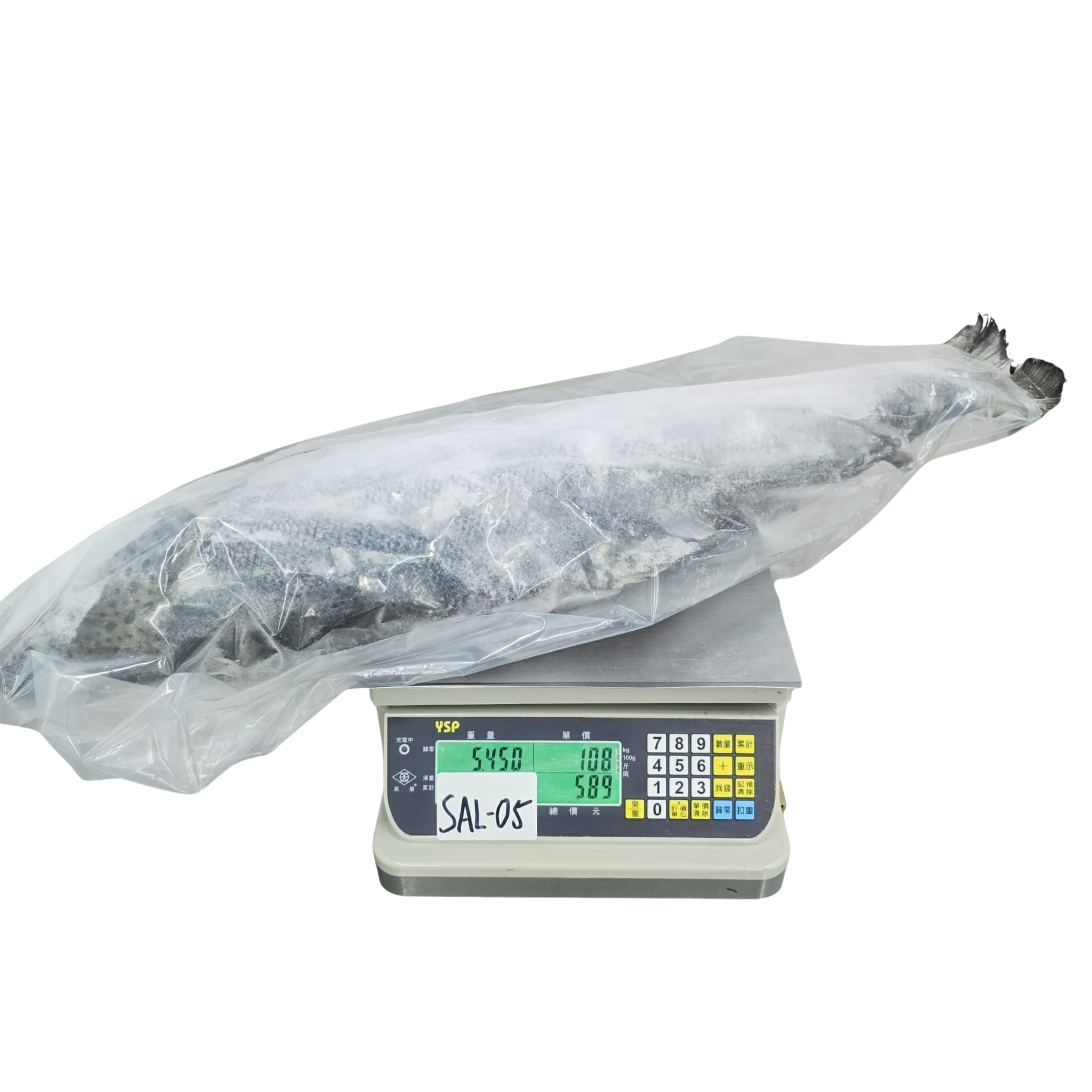 Chile Salmon including Head & Tail (Original Piece for Sale)