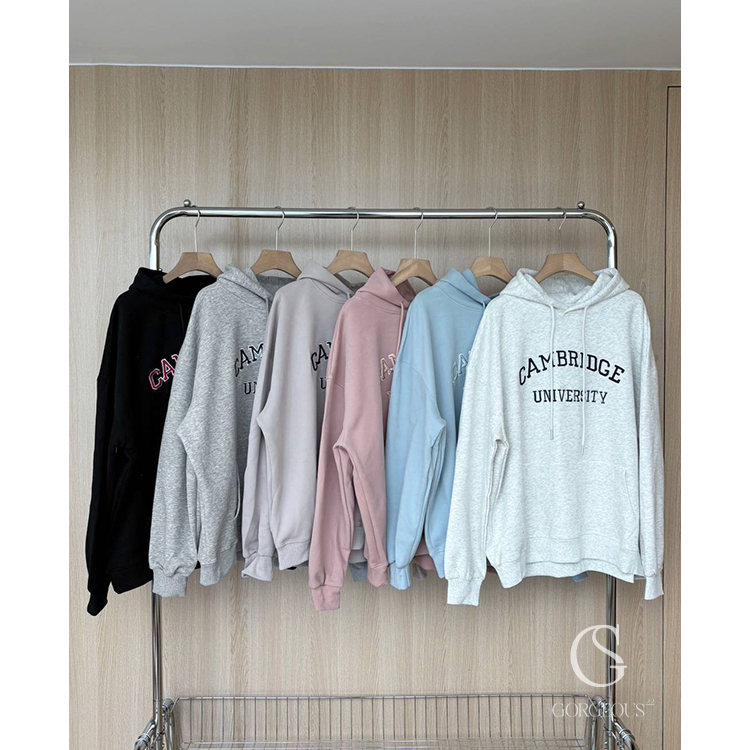 H87「三倍立體刺繡over size帽踢」