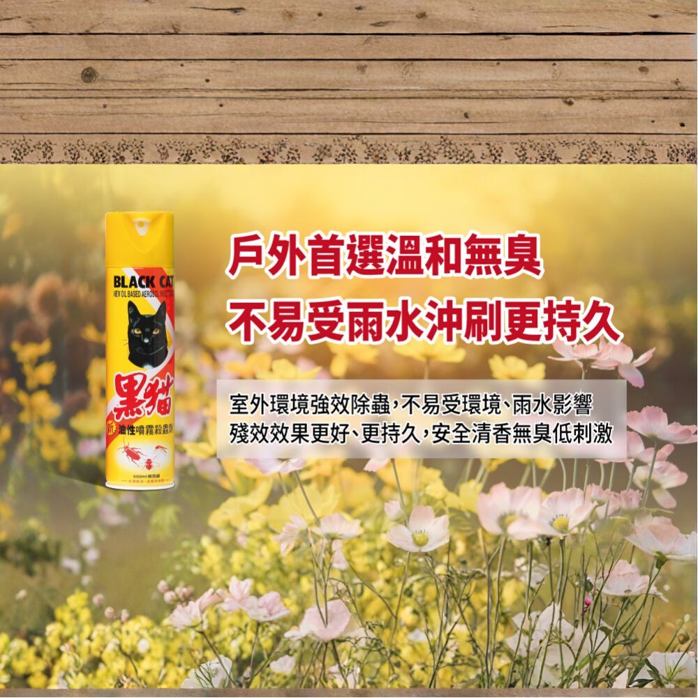 黑貓 油性殺蟲劑 600ml｜強效除蟑 滅蟲 居家防蟲必備【輕鬆購五金百貨】