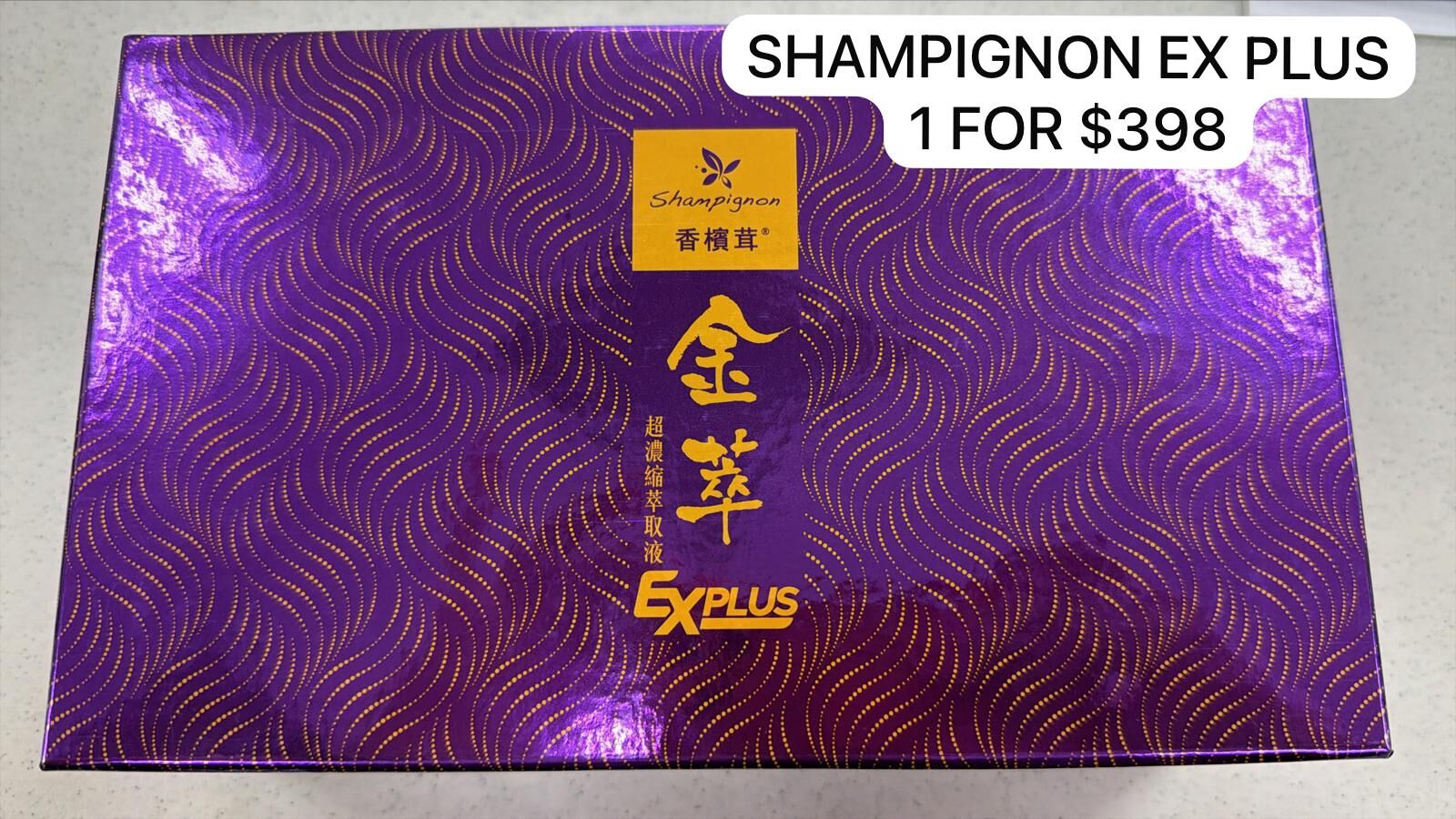 (1) SHAMPIGNON EX PLUS