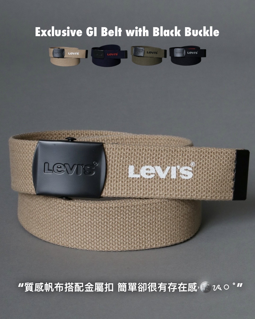 #預購+現貨 日本限定  LEVIS 扣環腰帶 四色