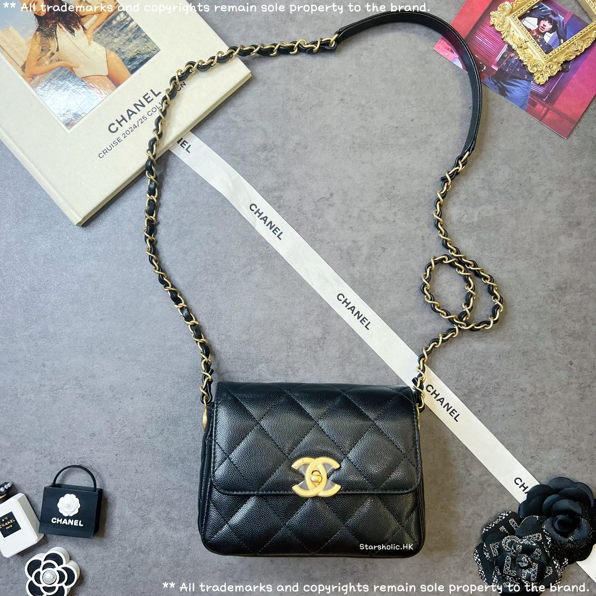 CHANEL Seasonal 17cm Flap Bag