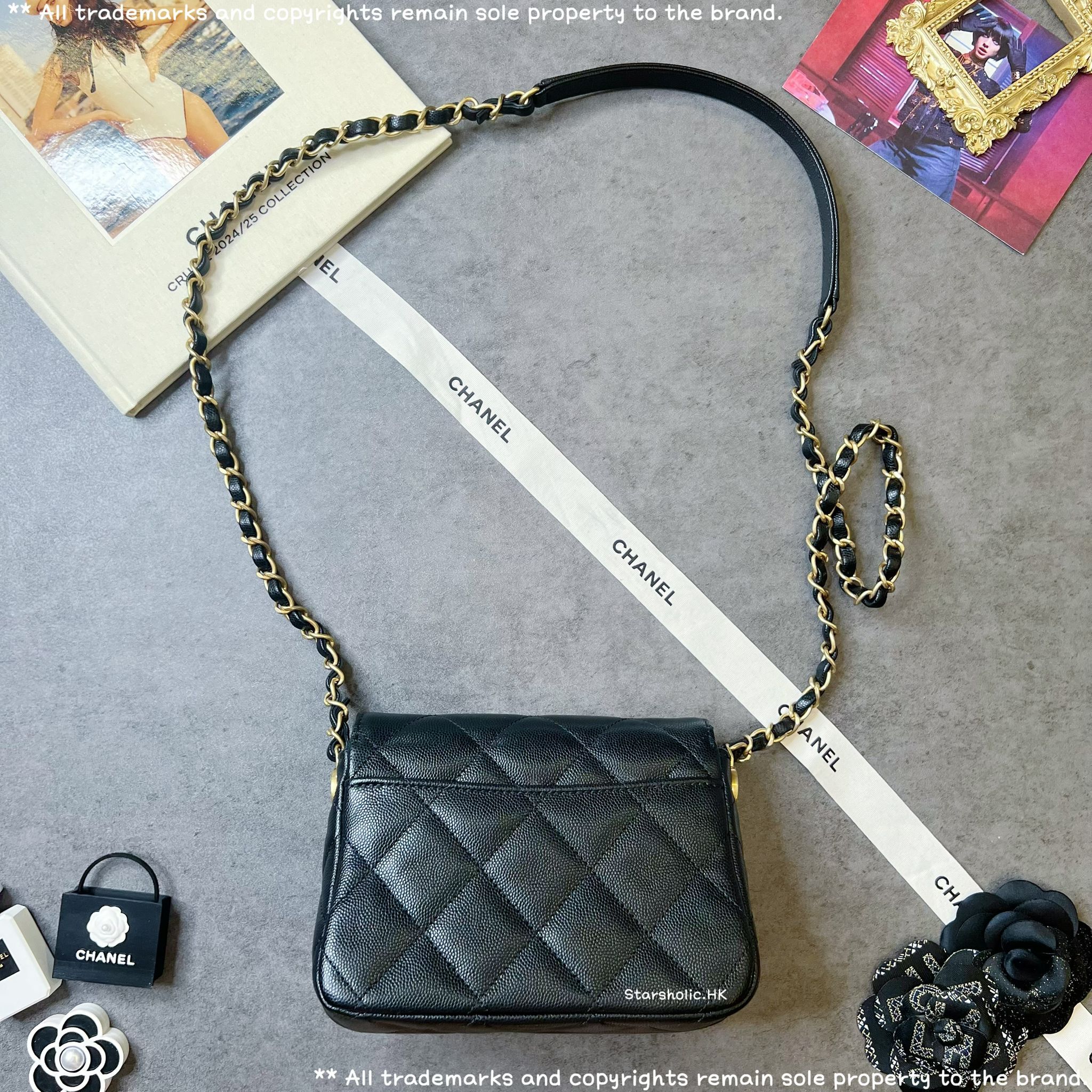 CHANEL Seasonal 17cm Flap Bag