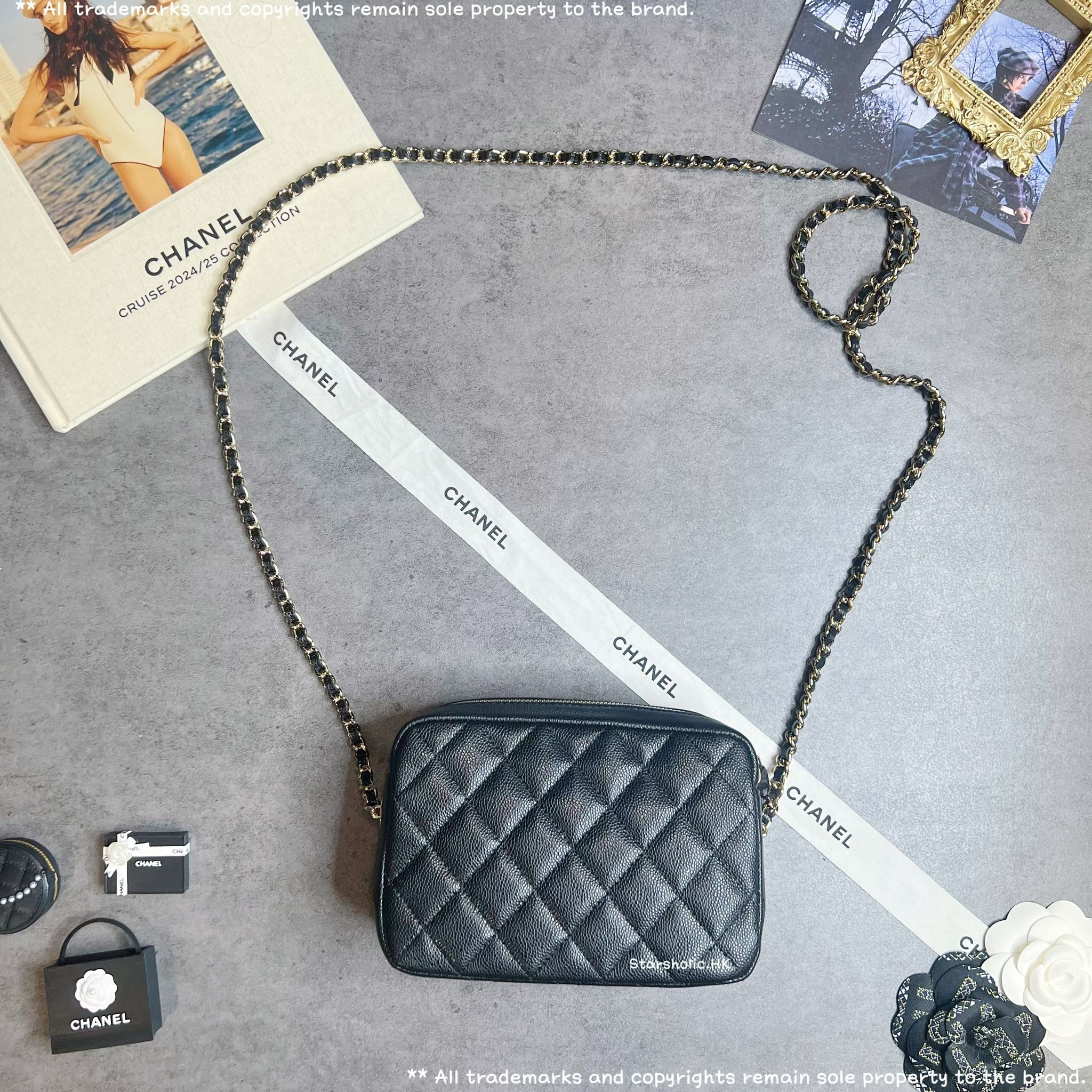CHANEL Seasonal 25P Camera Bag