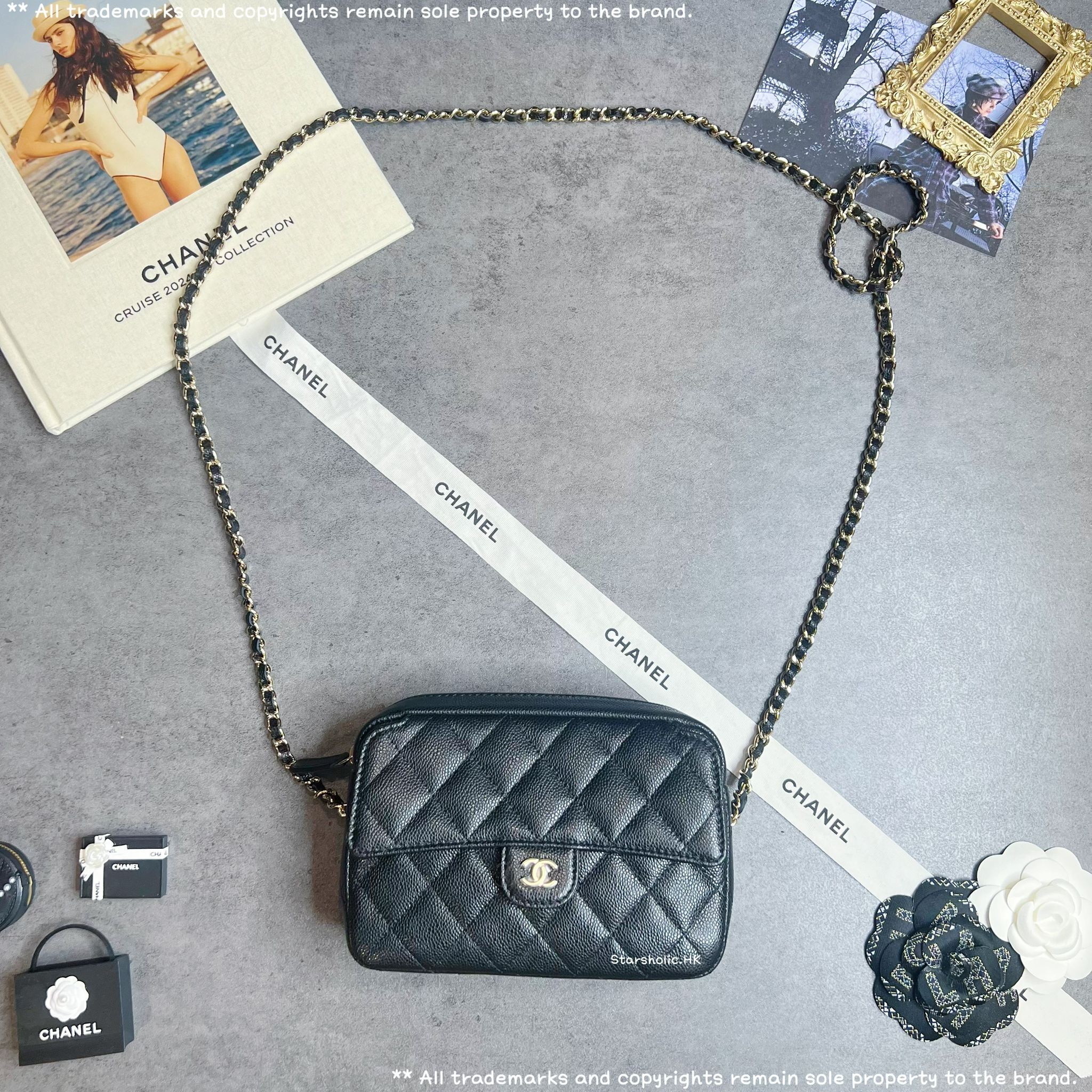 CHANEL Seasonal 25P Camera Bag
