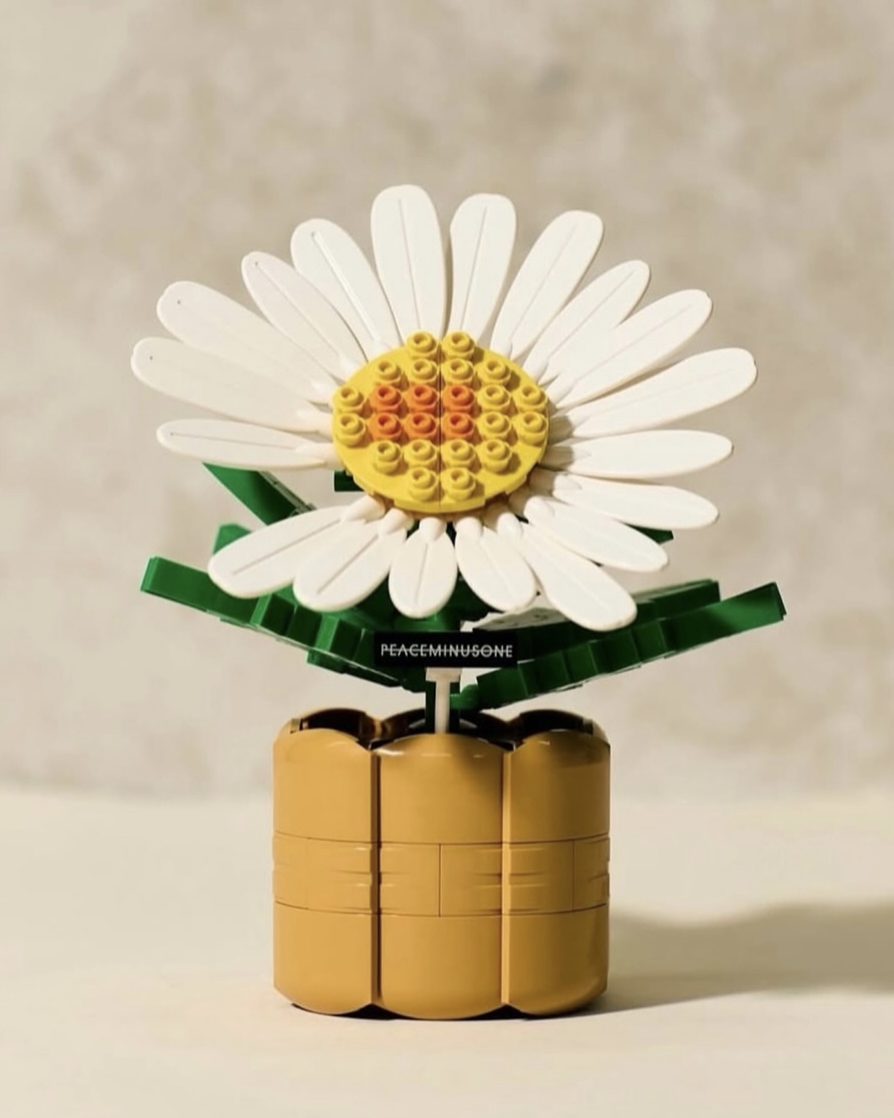 G-DRAGON PEACEMINUSONE & OXFORD 818 BLOOM 小雛菊積木