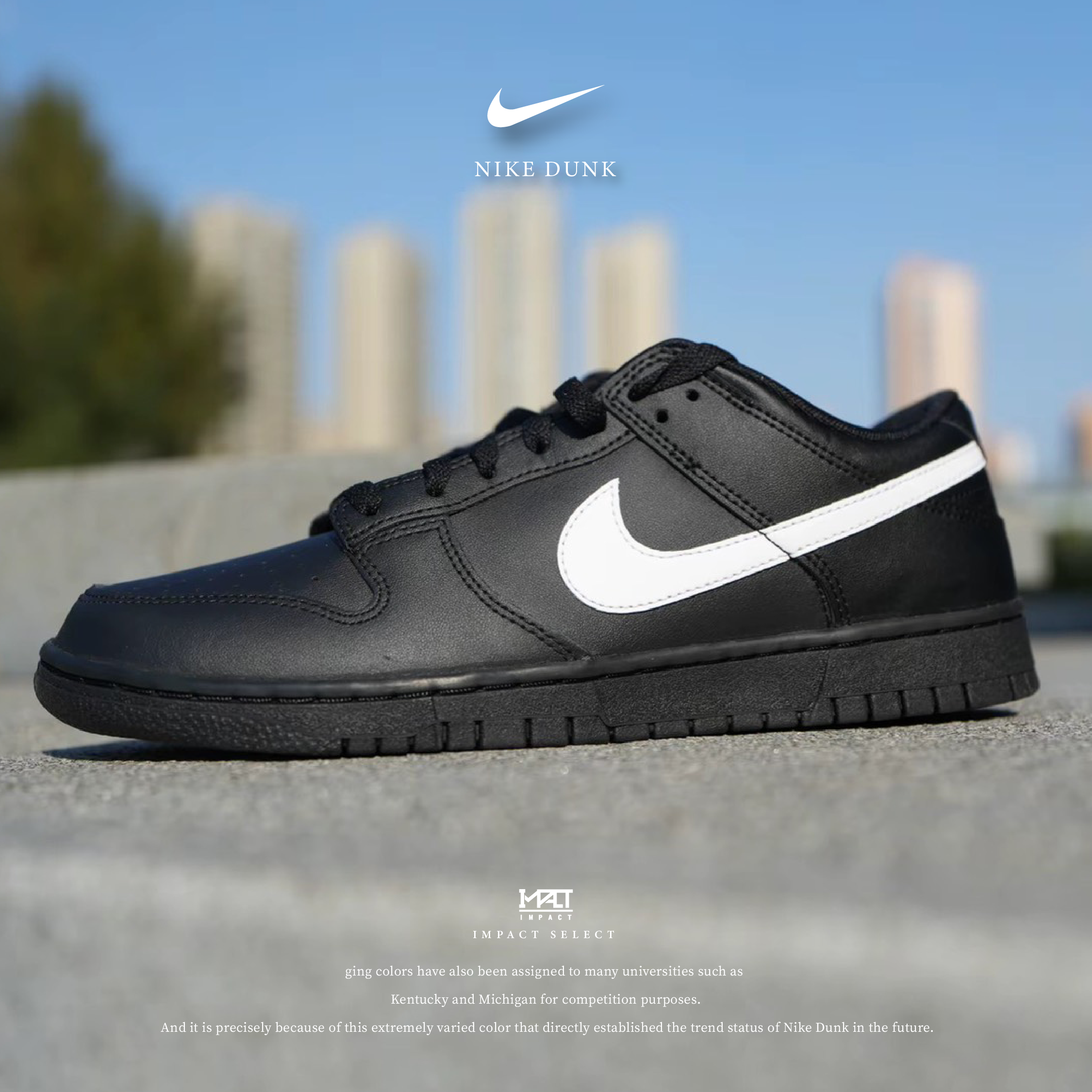 Nike Dunk Low 猛毒配色 OREO 黑白 IO7606-010