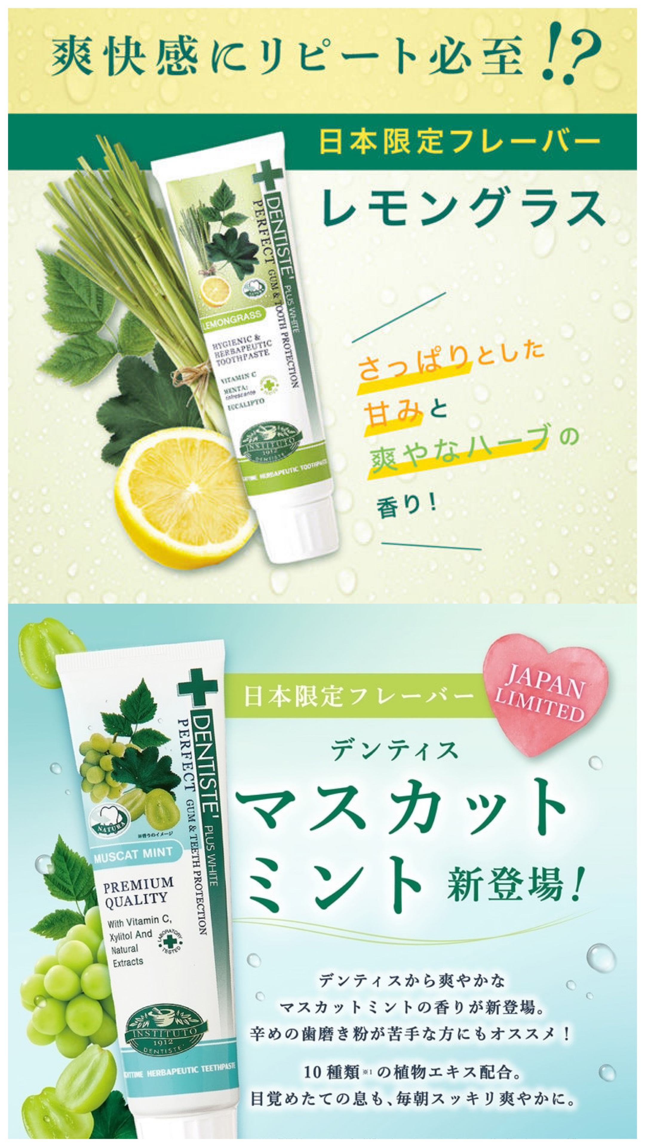 【日本製限定】JP 牙醫推介 DENTISTE 天然護理抗臭牙膏 1132 0165 TK251009