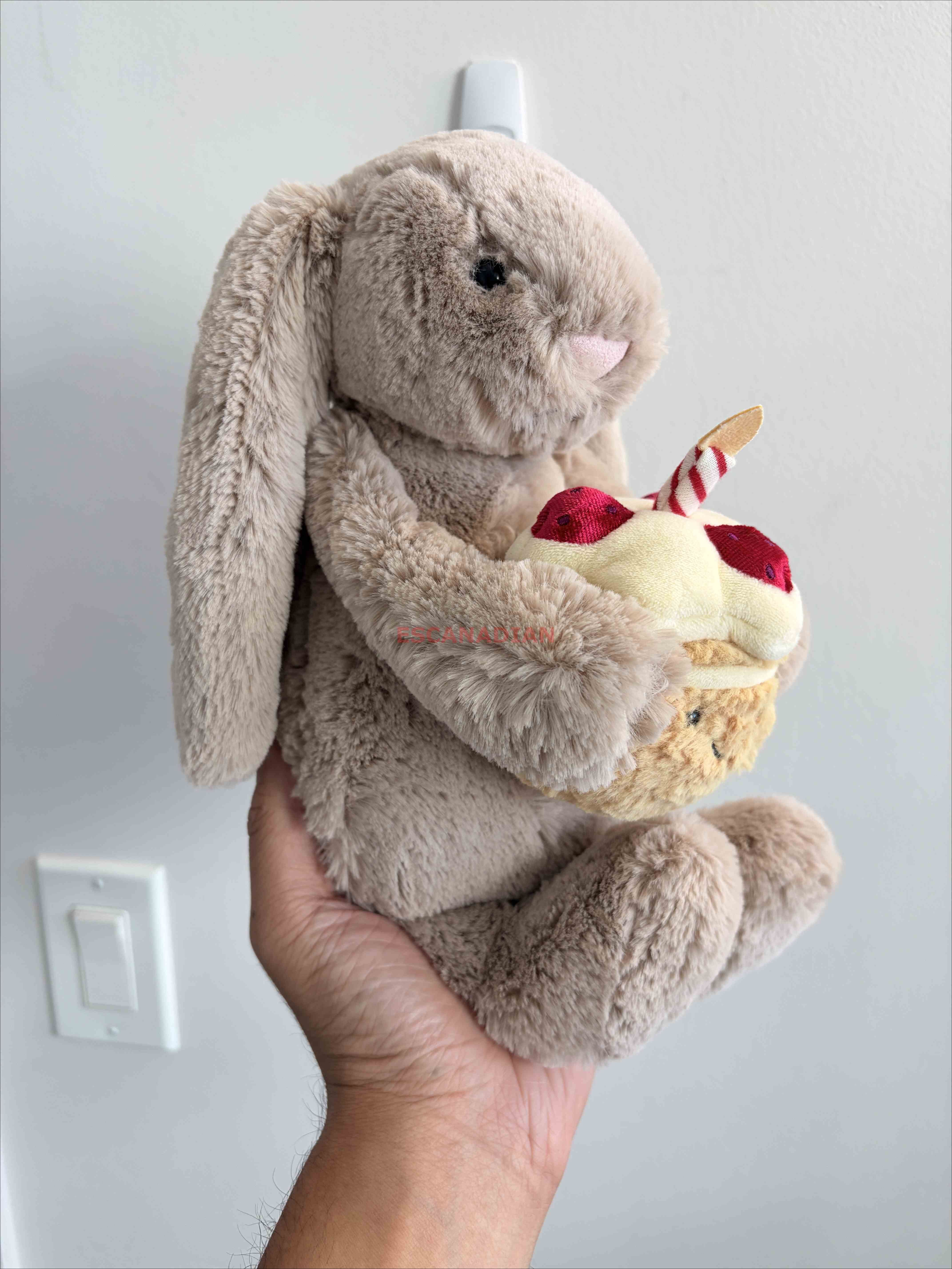 JellyCat 生日蛋糕 兔子