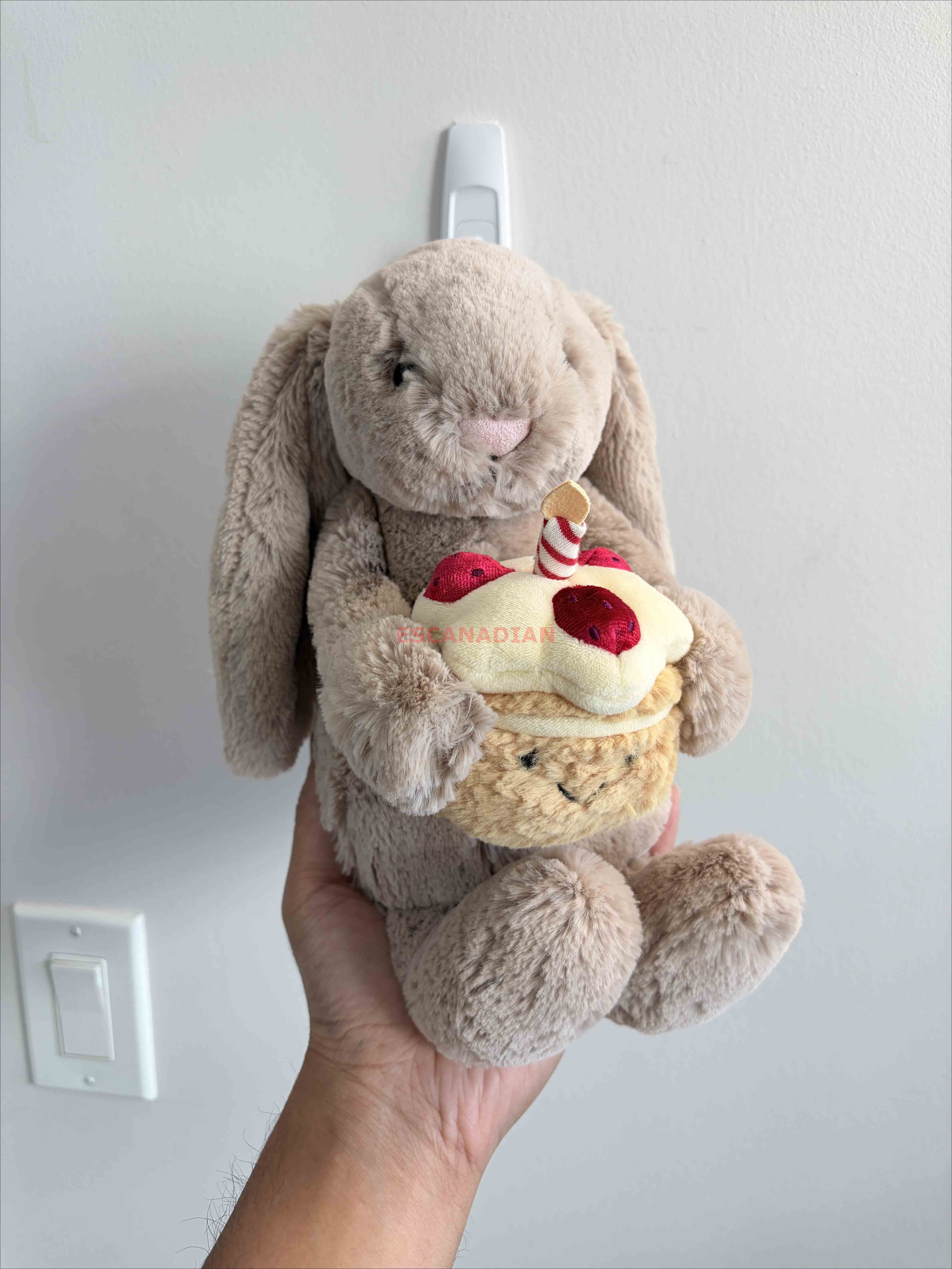 JellyCat 生日蛋糕 兔子