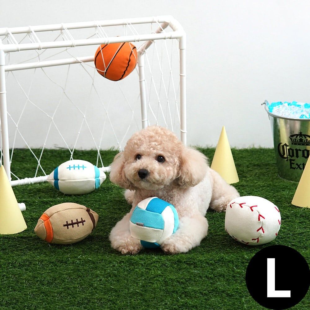 運動球類帆布發聲玩具組 (大) 款式隨機