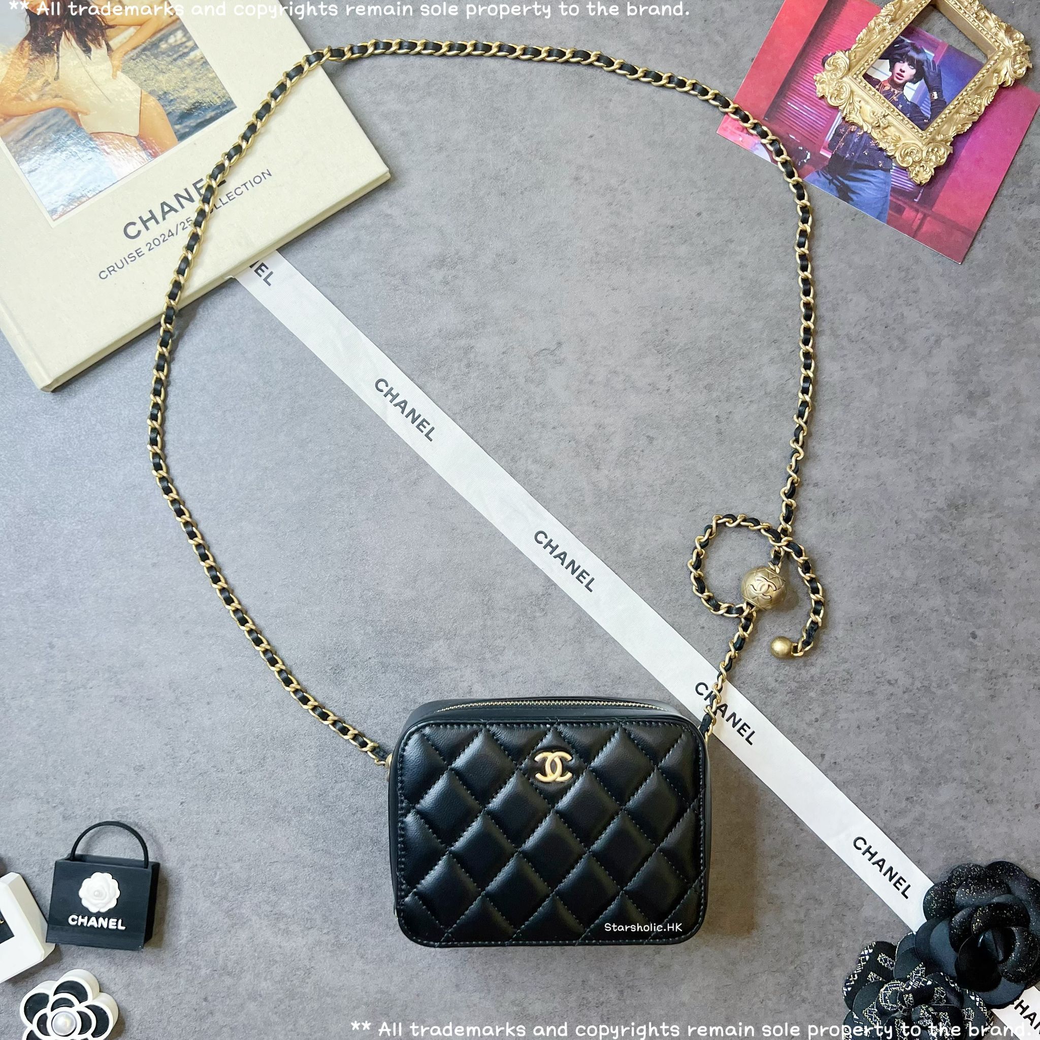 CHANEL 金球 Camera Bag