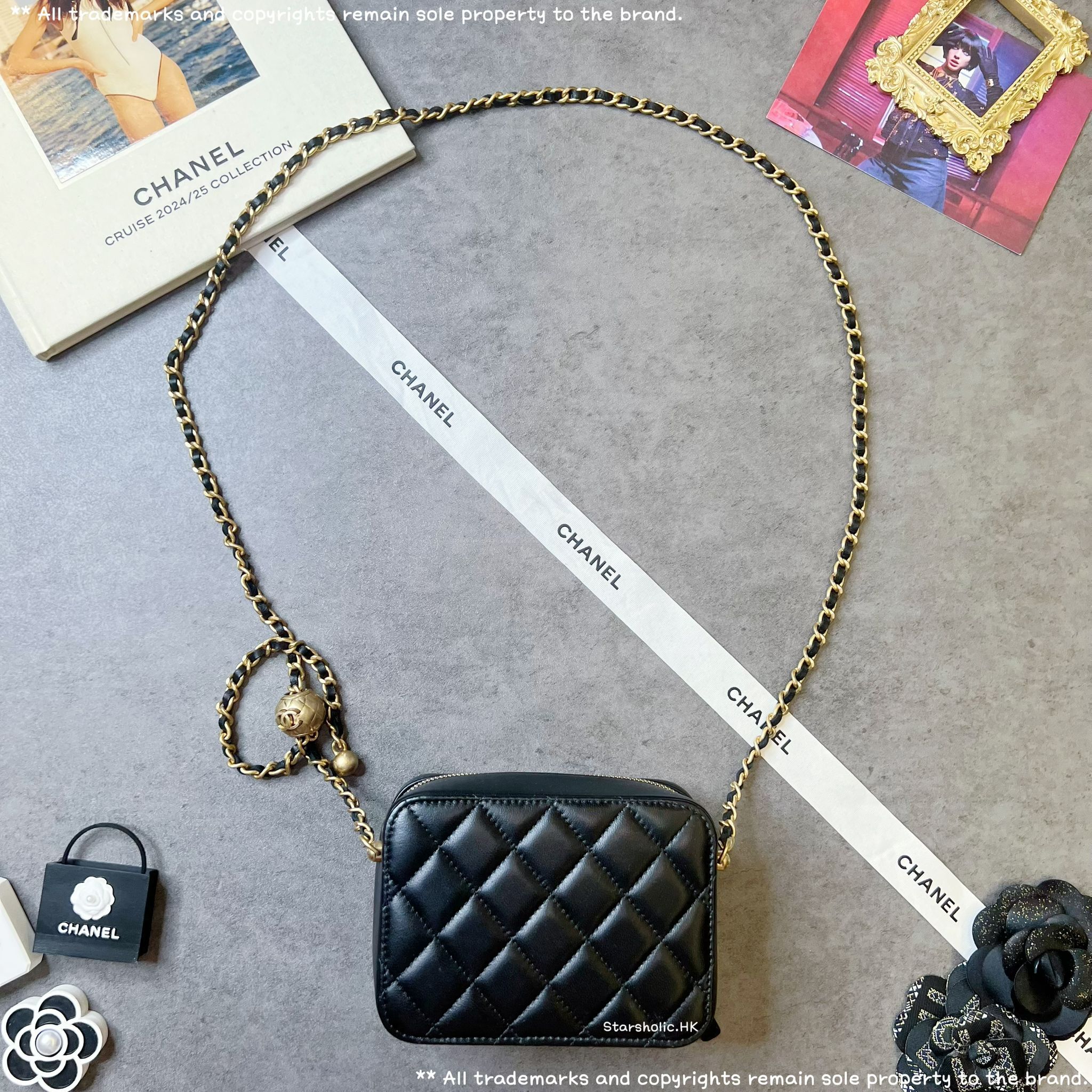 CHANEL 金球 Camera Bag
