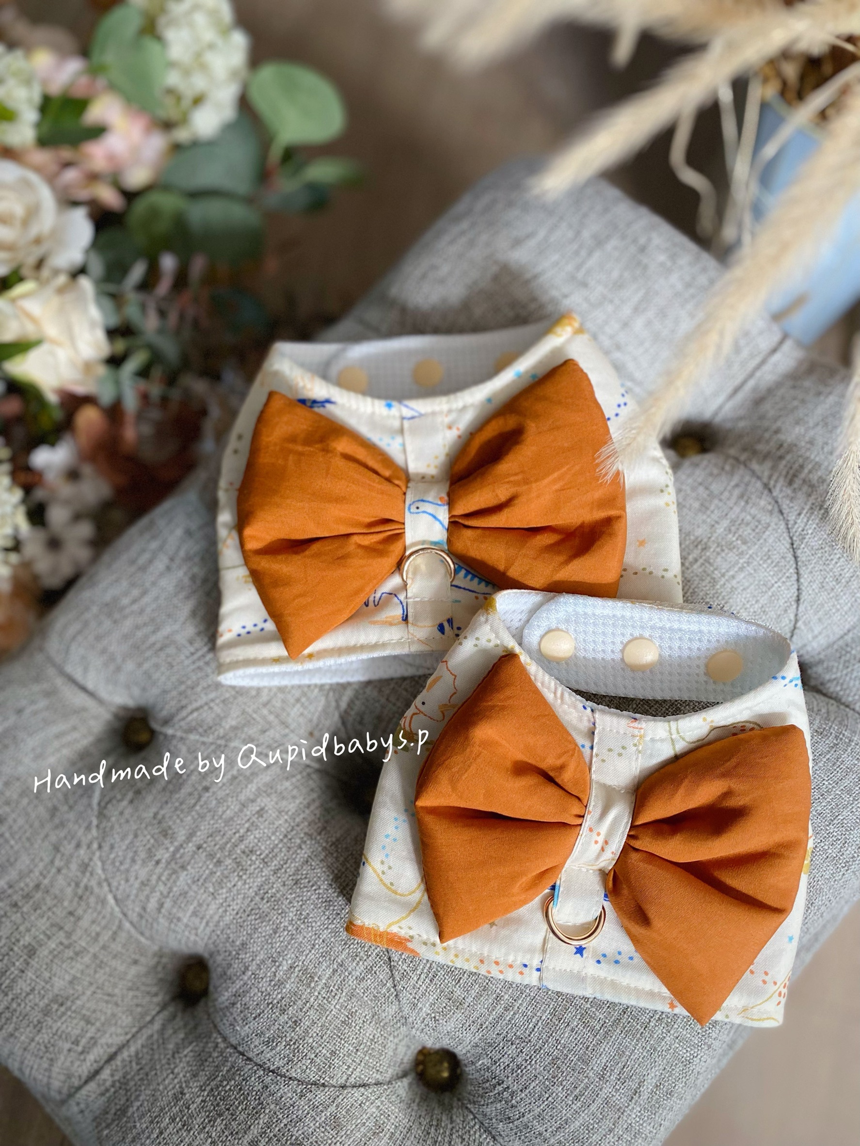 線條恐龍 男爵胸背衣