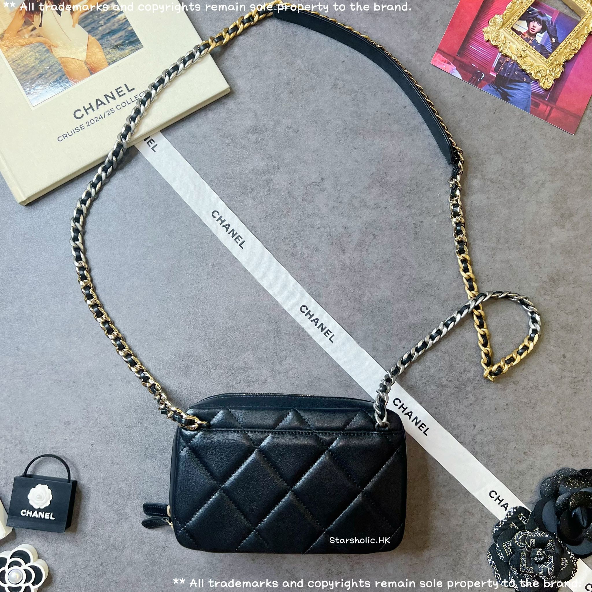 CHANEL 19 Camera Bag