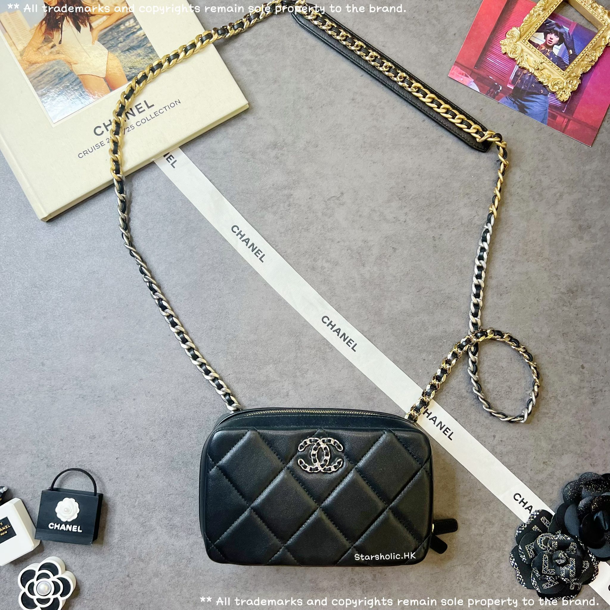 CHANEL 19 Camera Bag