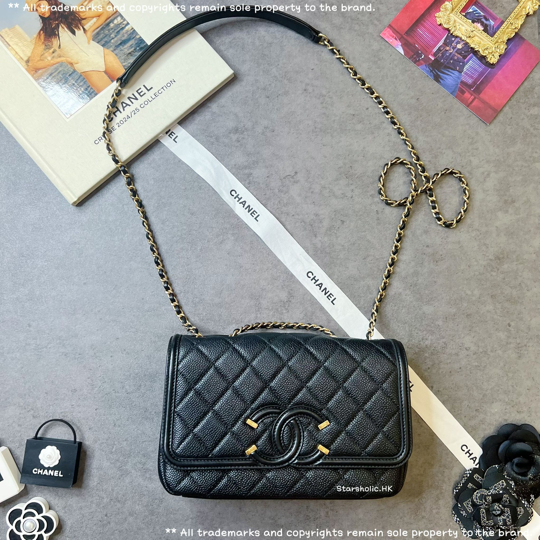 CHANEL Seasonal 22cm Flap Bag