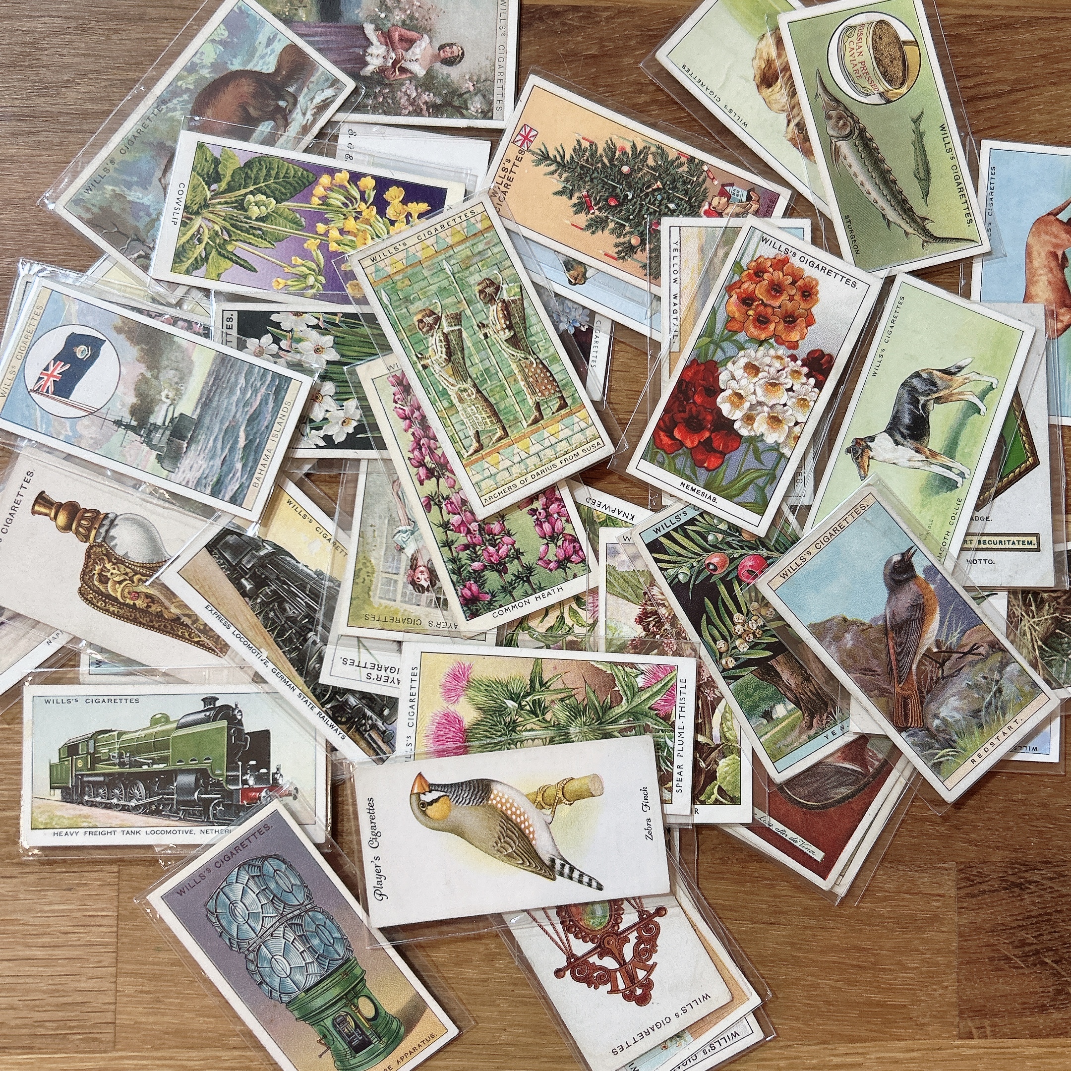 古董煙草卡｜夏普 台灣